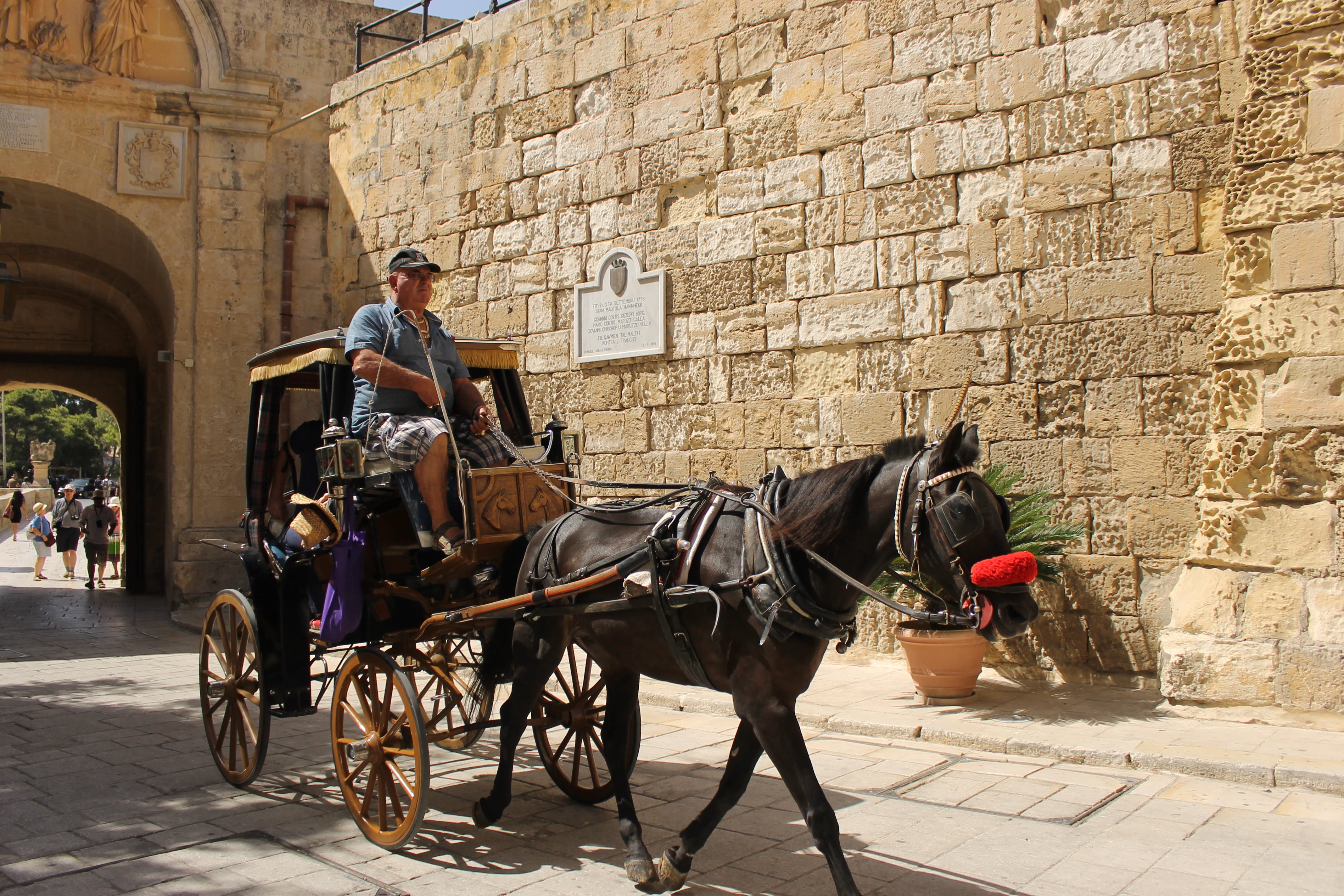 working animal, architecture, wall, herbivorous, domestic, built structure, maltese, riding, near, domestic animals, horse, juego de tronos, town, mammal, HD Wallpaper