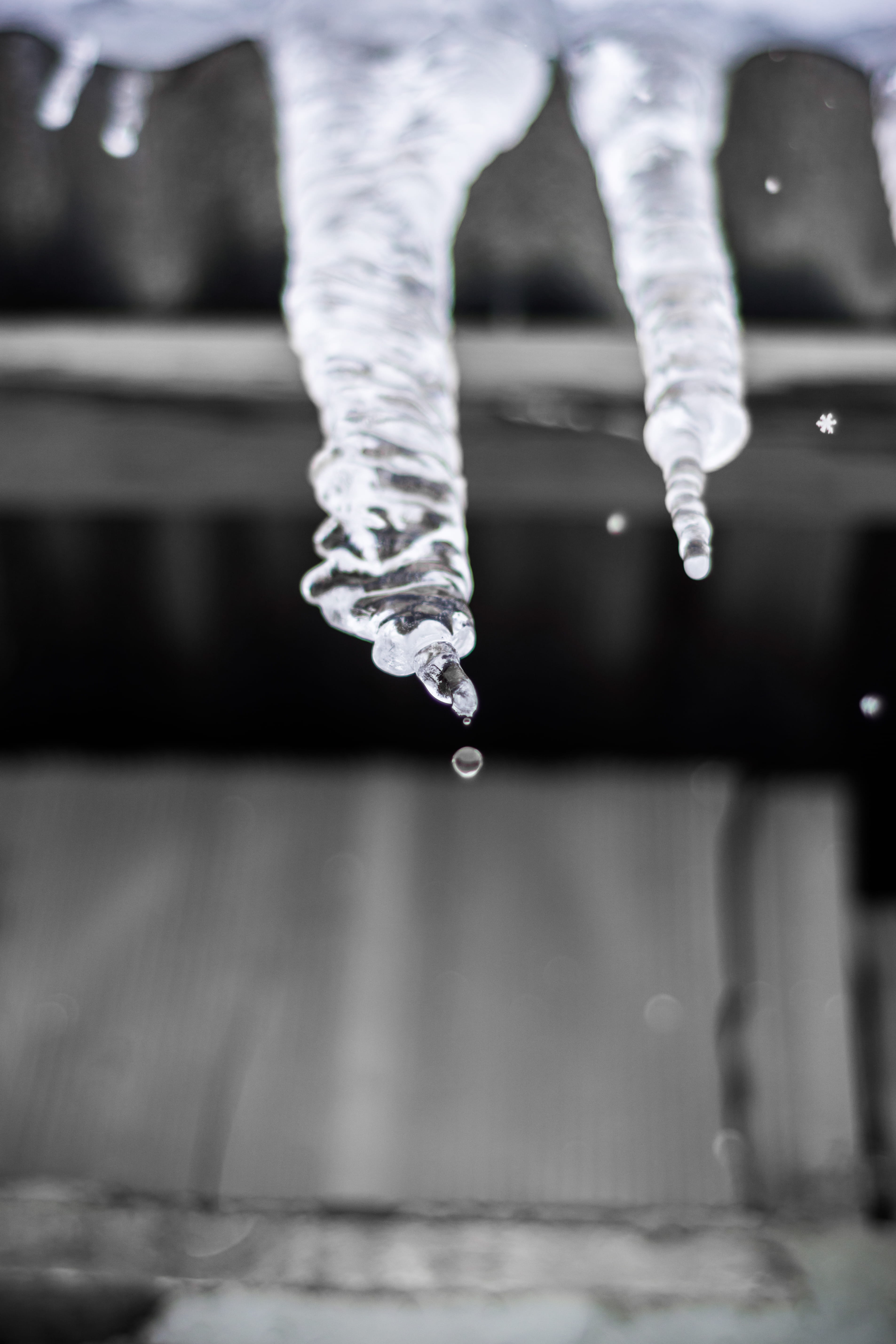 body part, focus on foreground, snow, cold temperature, nature, 5K, travel, selective focus, water, human hand, bw, winter, day, frozen, azerbaijan, cold, Phone HD Wallpaper