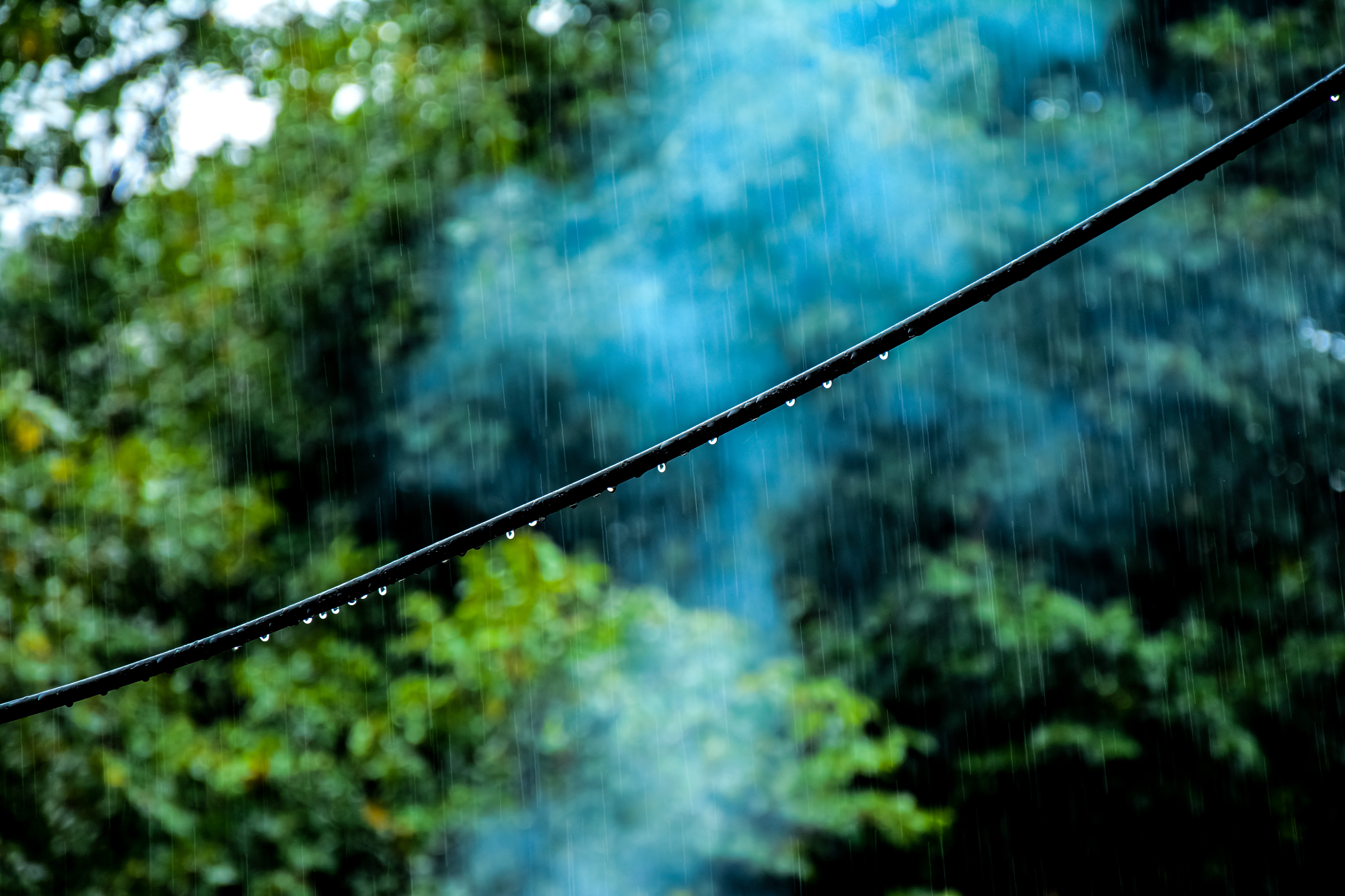 outdoors, plant, nature, long exposure, beauty in nature, wood, macro, land, green color, smoke - physical structure, power in nature, azerbaijan, non-urban scene, HD Wallpaper