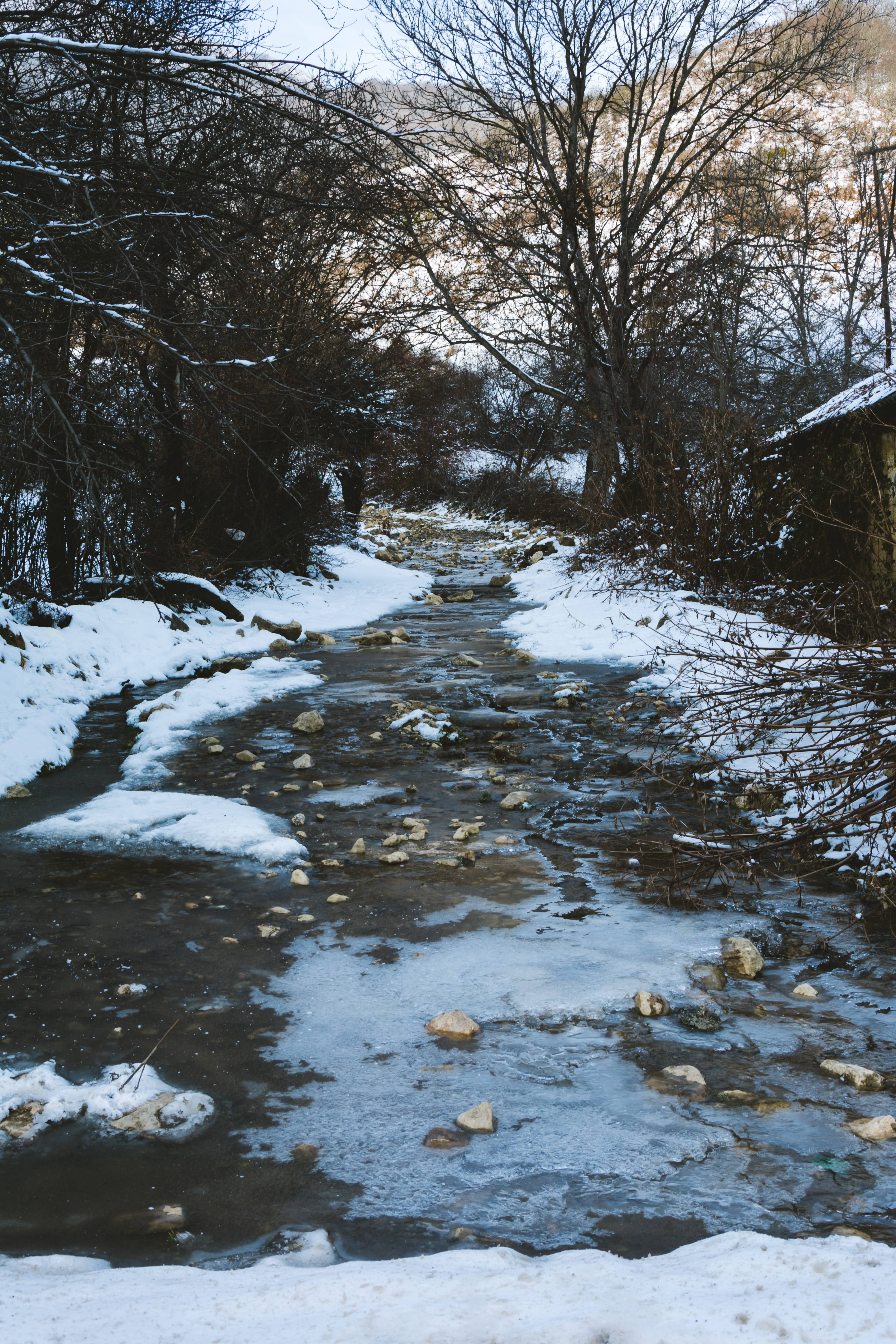 photography, frozen, tree, non-urban scene, stream - flowing water, flowing water, mountain, travel, scenics - nature, beauty in nature, white, day, no people, Phone HD Wallpaper