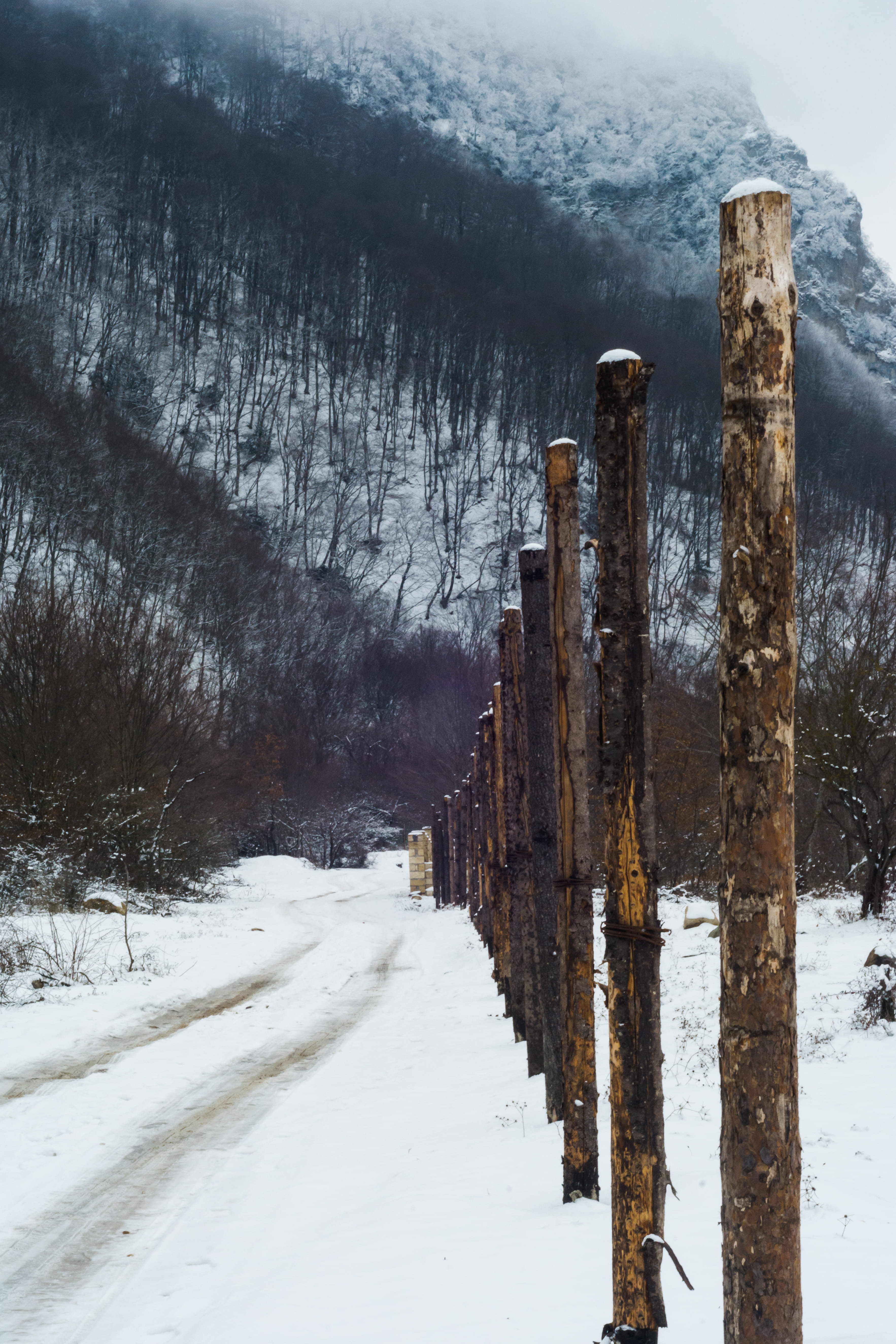ice, wood - material, barrier, no people, non-urban scene, trees, snow, post, abies, winter, 5K, azerbaijan, day, beauty in nature, wood, structure, fence, Phone HD Wallpaper