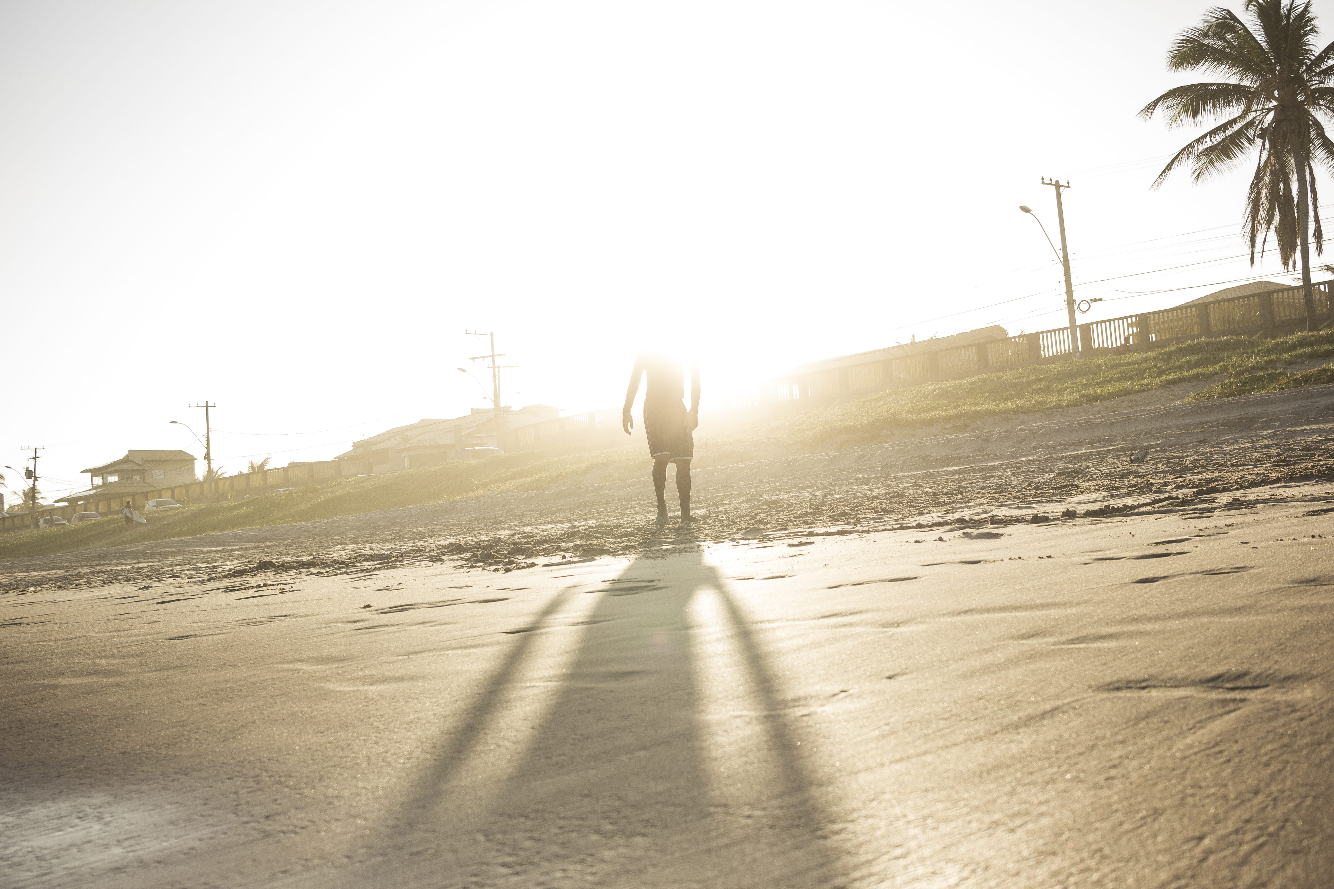 lauro de freitas, beach, brazil, lifestyles, rear view, palm tree, 5K, men, nature, sunlight, sun, road, silhouette, land, outdoors, shadow, full length, HD Wallpaper