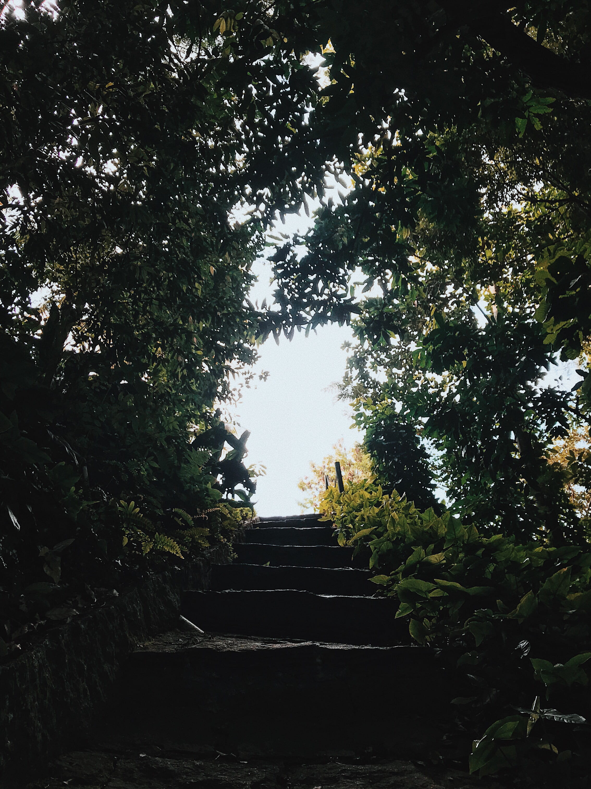 leblon, sky, direction, steps and staircases, brazil, low angle view, 2K, rj, architecture, trip, the way forward, tree, staircase, tranquility, tree canopy, Phone HD Wallpaper
