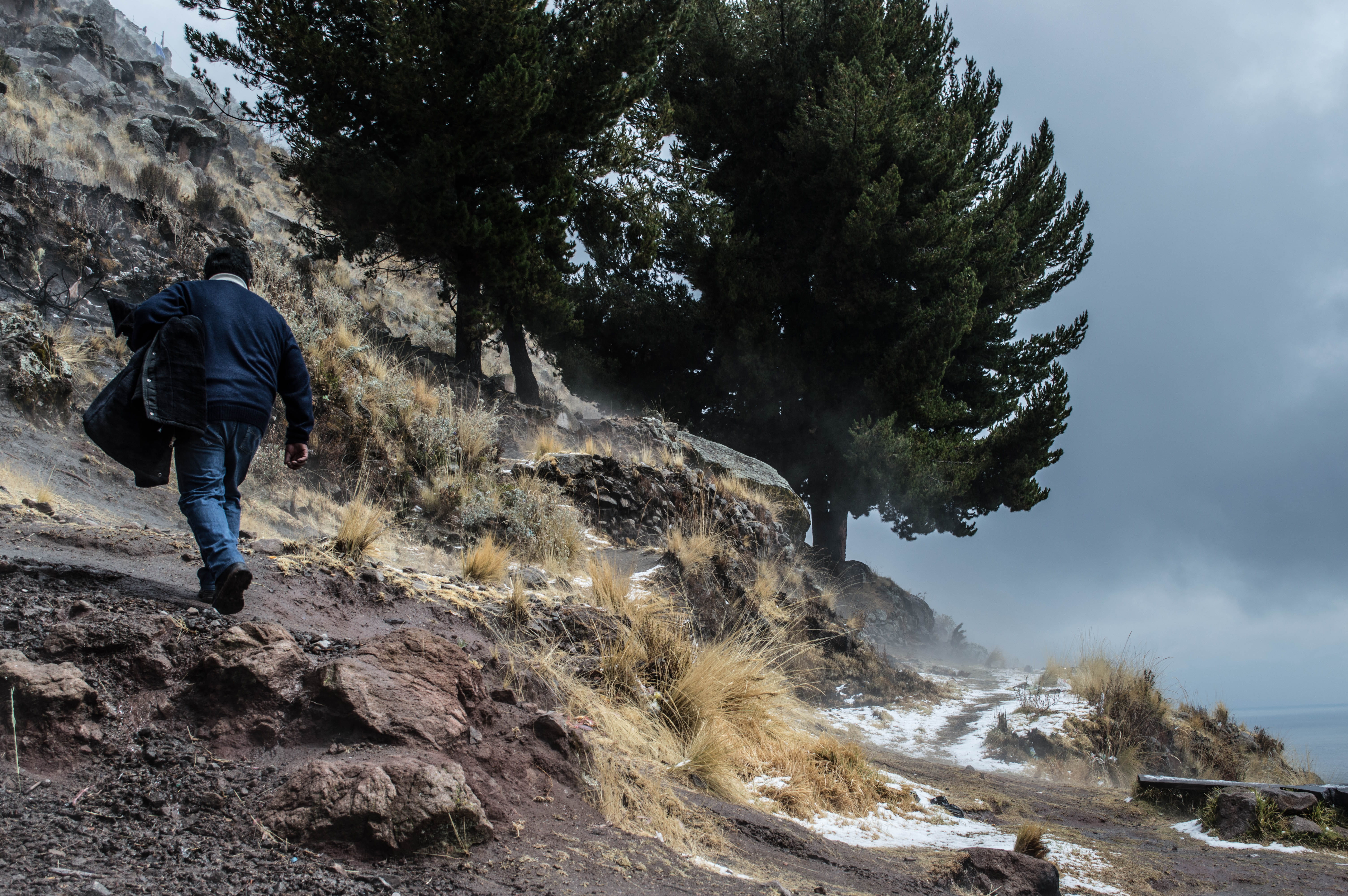 beauty in nature, nature, full length, exploration, leisure activity, tree, path, day, plant, bolivia, lake, real people, mountain, rock, titicaca, adventure, HD Wallpaper