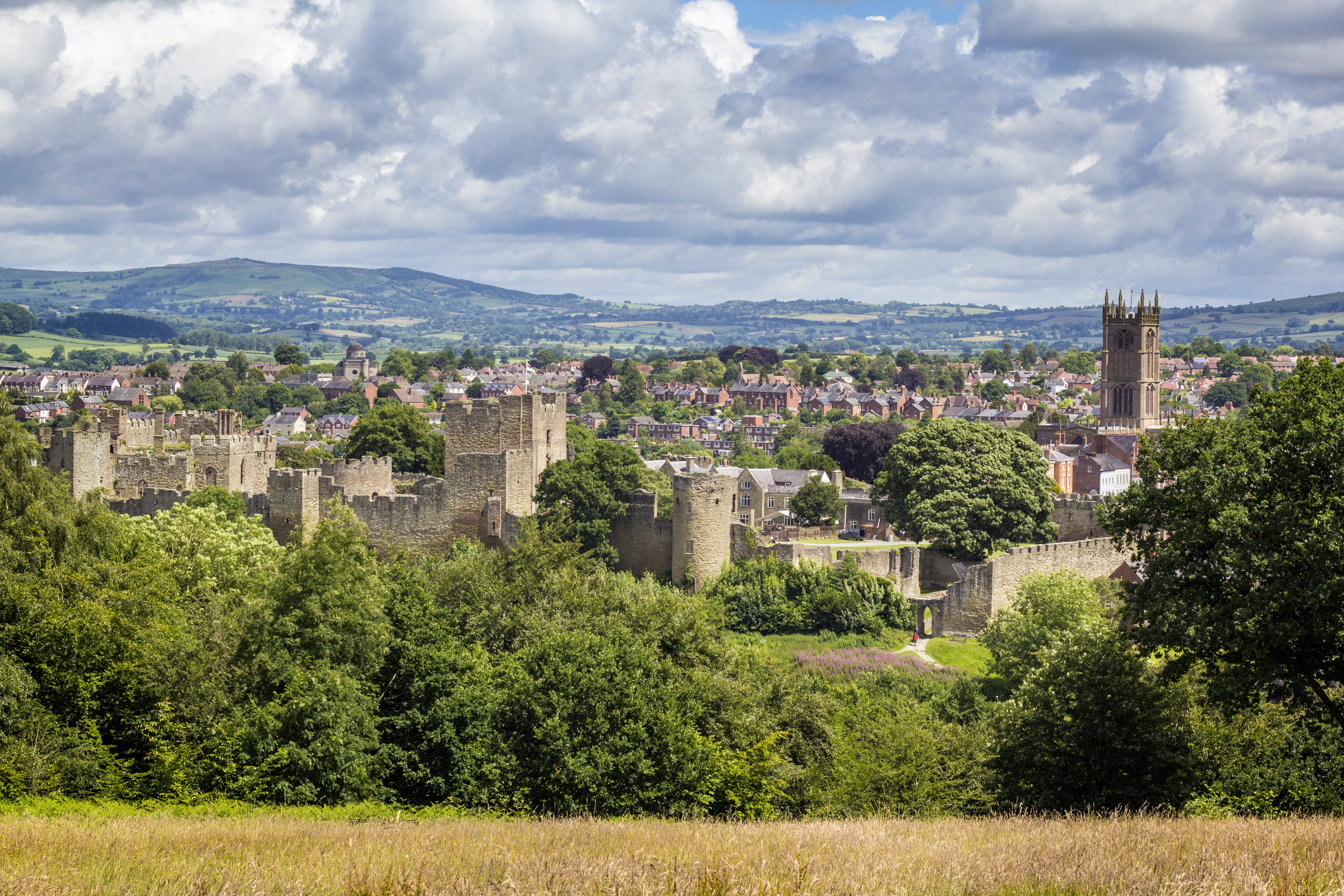 sky, ludlow, landscape, nature, no people, tree, travel destinations, shropshire, english town, architecture, built structure, environment, plant, 5K, HD Wallpaper
