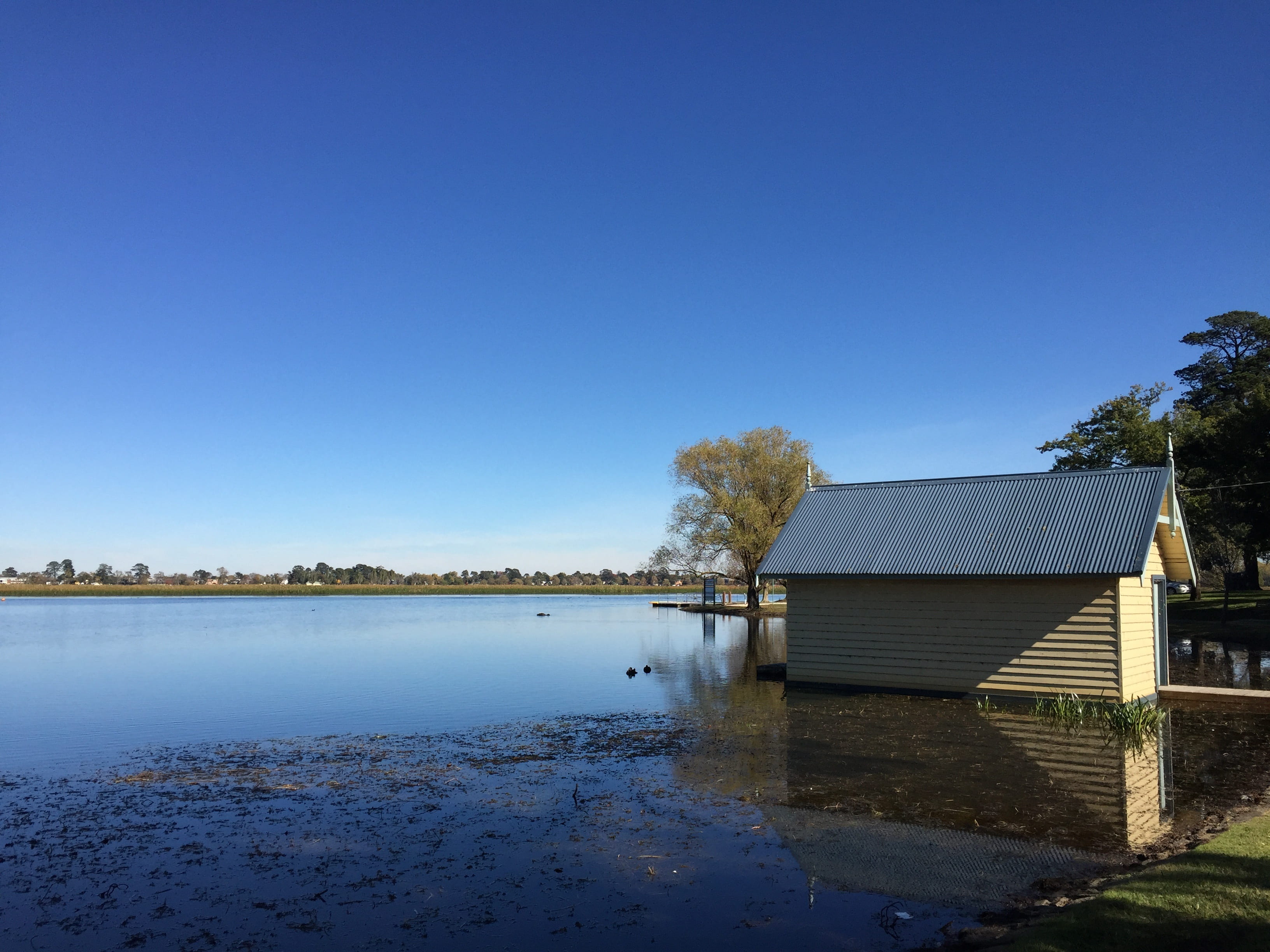 water, built structure, still, nature, peace, ballarat, architecture, calm, wendouree, beauty in nature, plant, copy space, lake, boathouse, sky, building exterior, HD Wallpaper