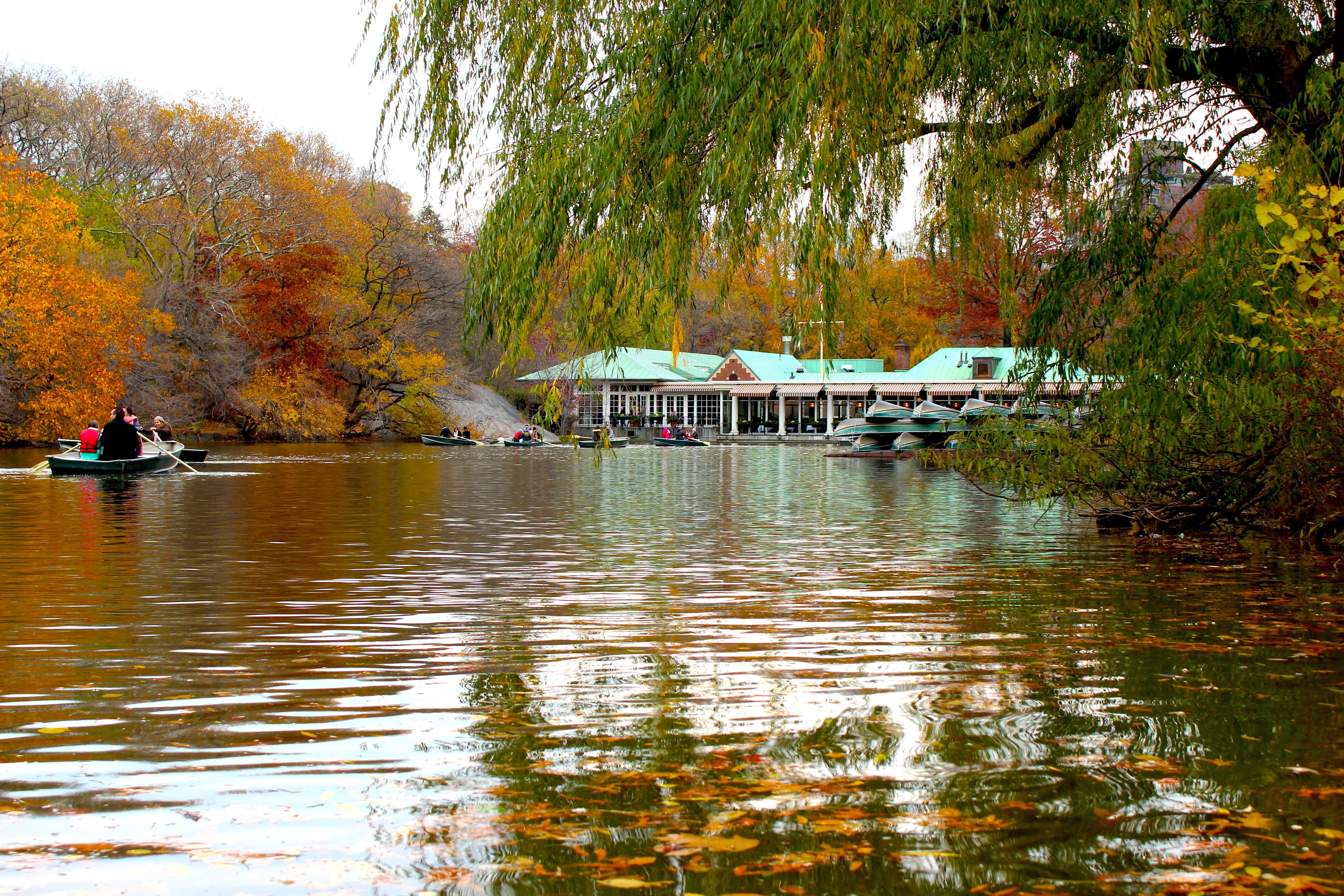architecture, tree, 5K, nature, New York City, loeb, the lake, new york, no people, the loeb boathouse, mode of transportation, fall colors, nautical vessel, HD Wallpaper