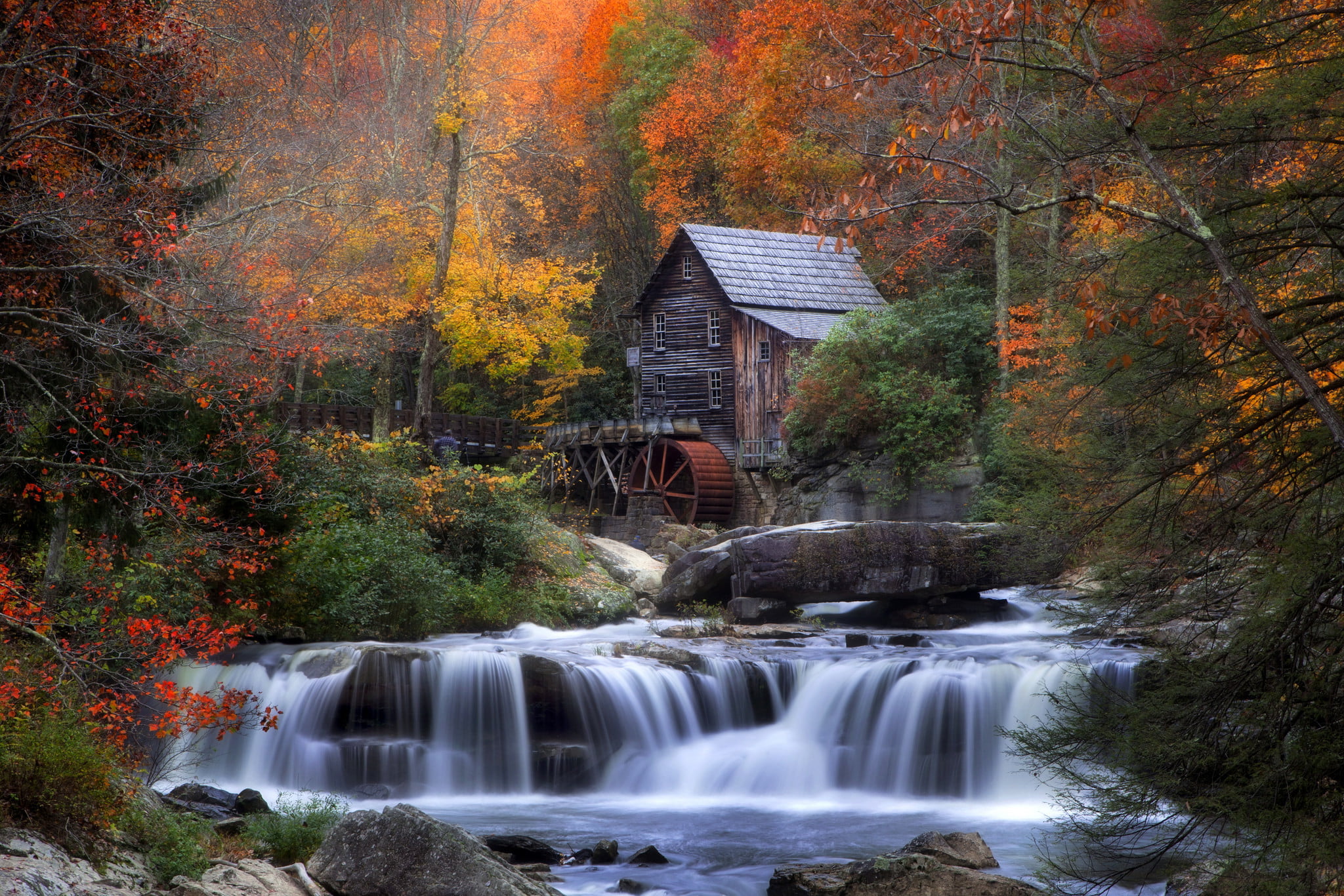 tree, river, architecture, autumn, stones, forest, environment, stream - flowing water, 1080P, nature, built structure, flowing water, land, waterfall, HD Wallpaper
