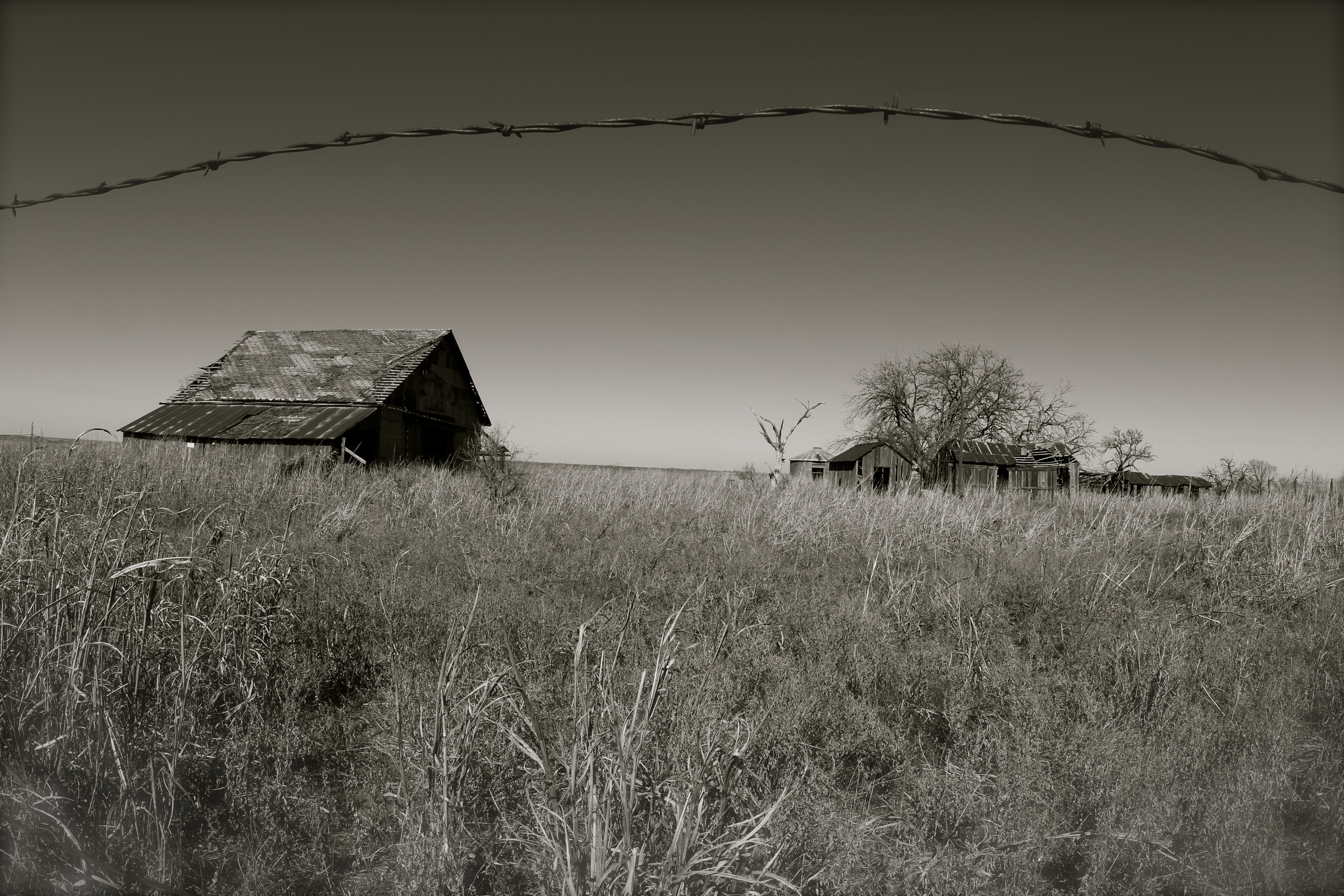grayscale, field, house, rural Scene, barn, no People, farm, abandoned, 5K, old, green, photography, HD Wallpaper