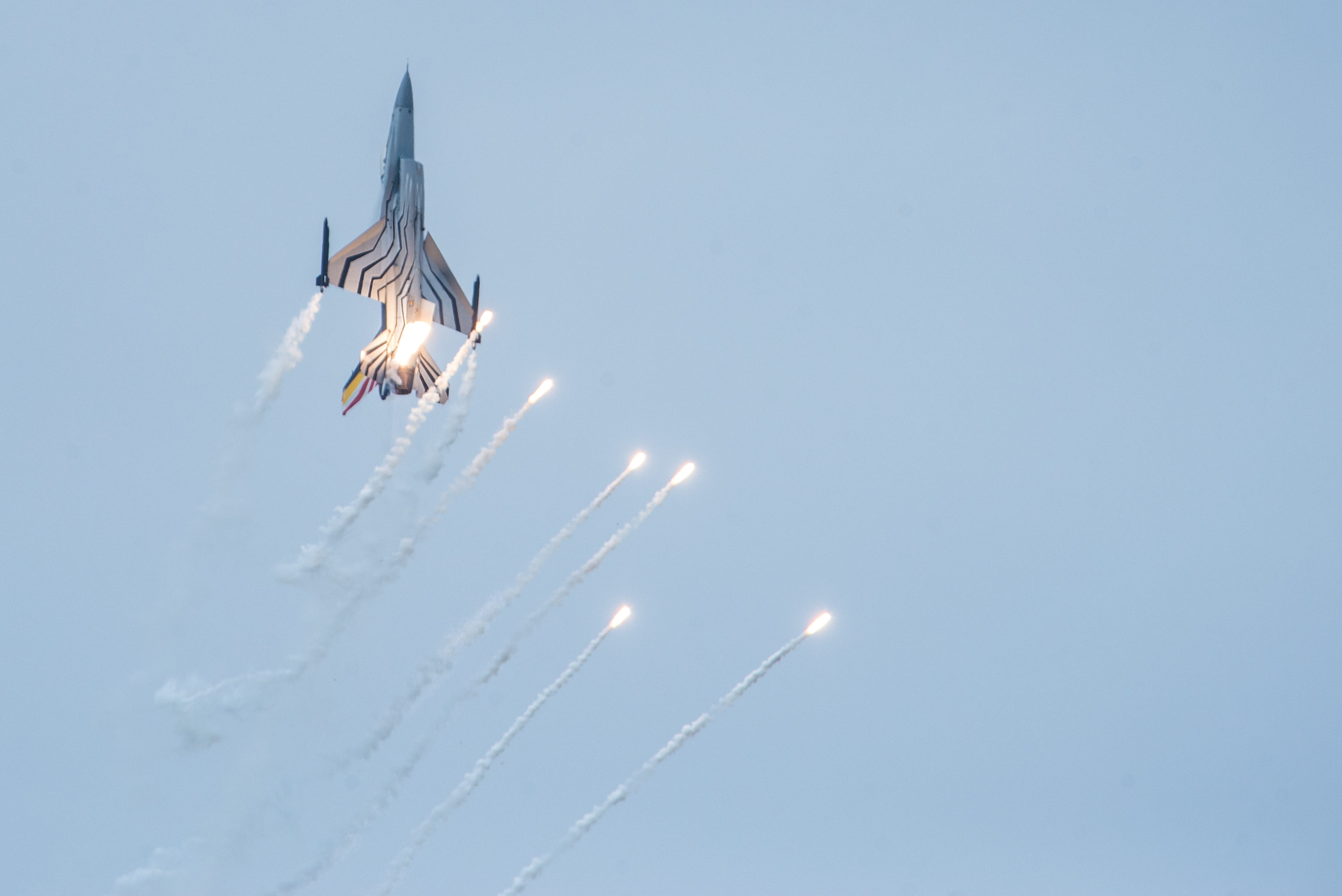 armed, force, plane, Flight, flying, combat, air Force, speed, air, fly, Fighter Aircraft, aeroplane, no people, one animal, mid-air, air Vehicle, day, HD Wallpaper
