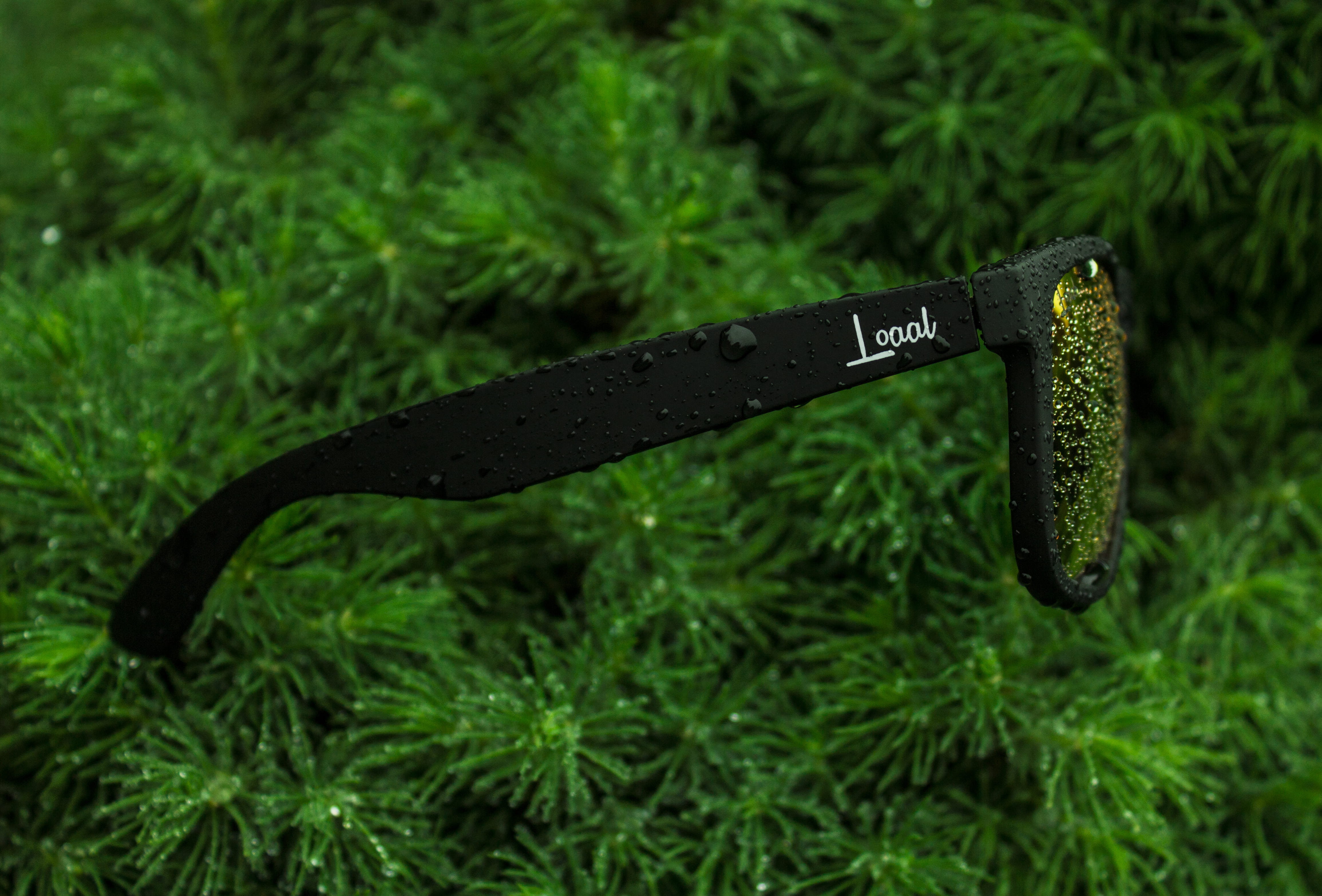 single object, product, plant, high angle view, growth, leaf, tree, green color, no people, knife - weapon, 4K, sign, black color, nature, românia, metal, HD Wallpaper
