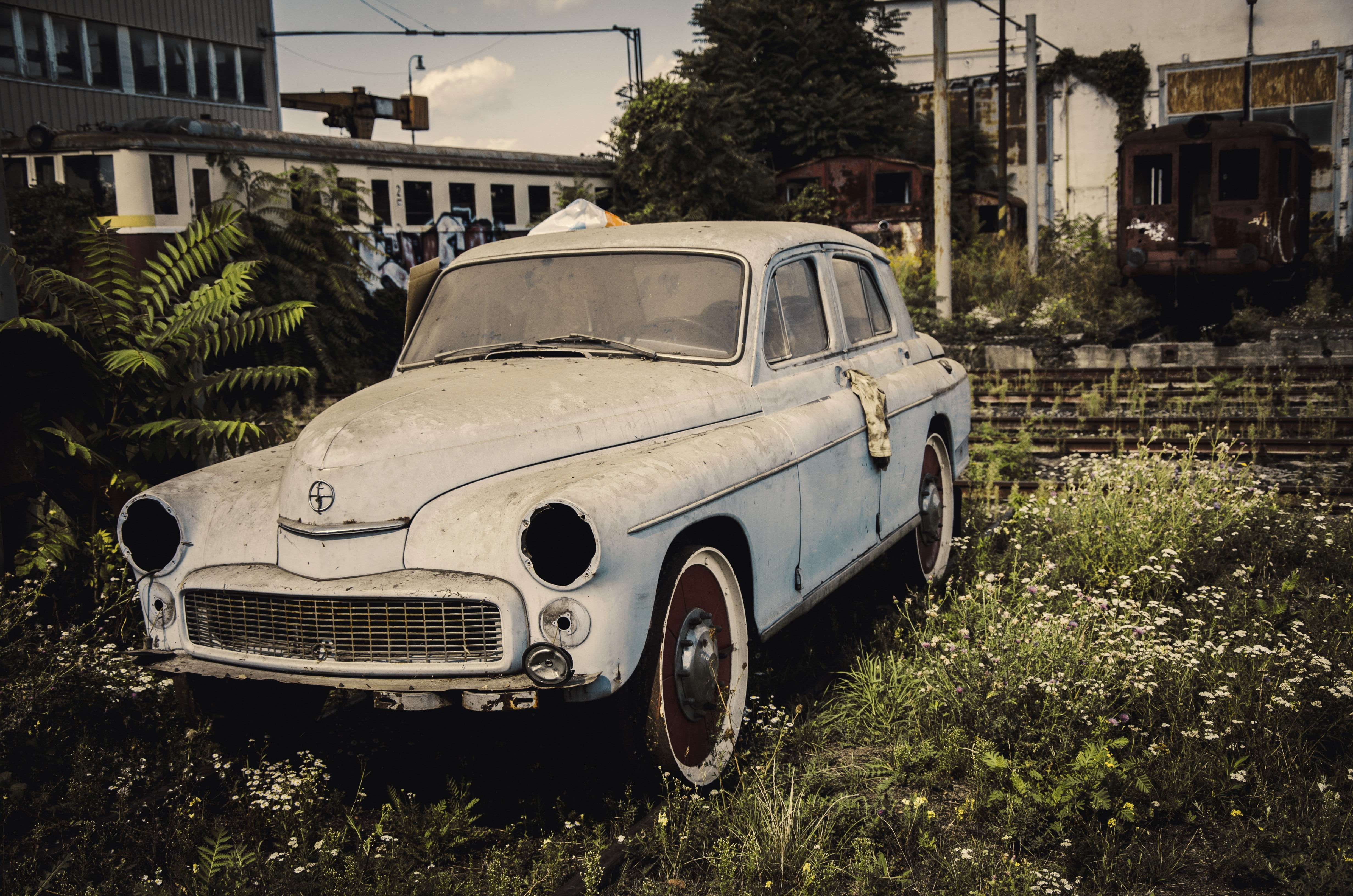 abandoned, day, 4K, old, plant, land vehicle, mode of transportation, architecture, obsolete, car, motor vehicle, transportation, tree, no people, stationary, HD Wallpaper