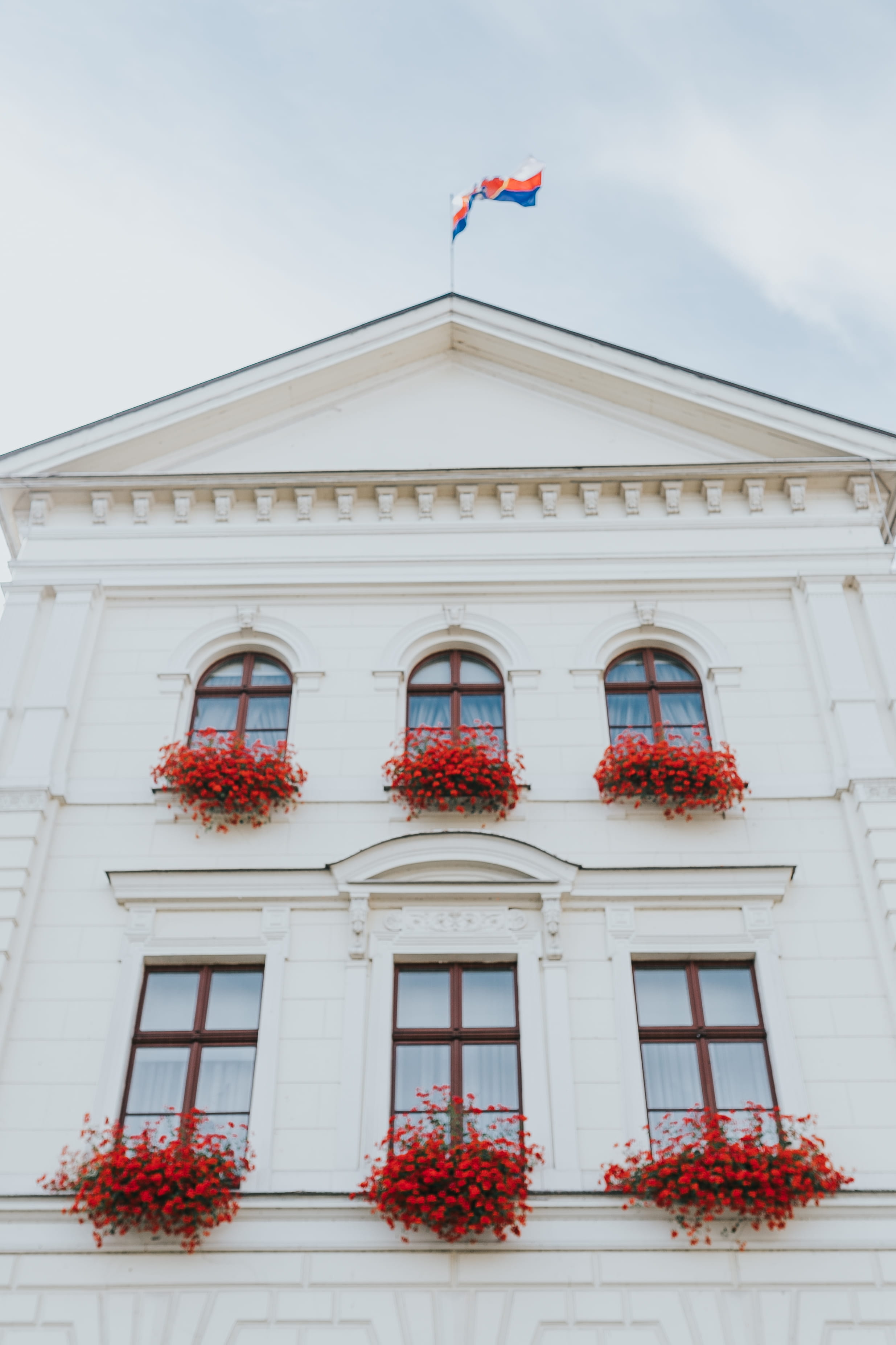 facade, vintage, Bydgoszcz, potted plant, tenement house, outdoors, flag, 2K, flower, history, red, nature, building Exterior, window, no people, Architecture, Phone HD Wallpaper