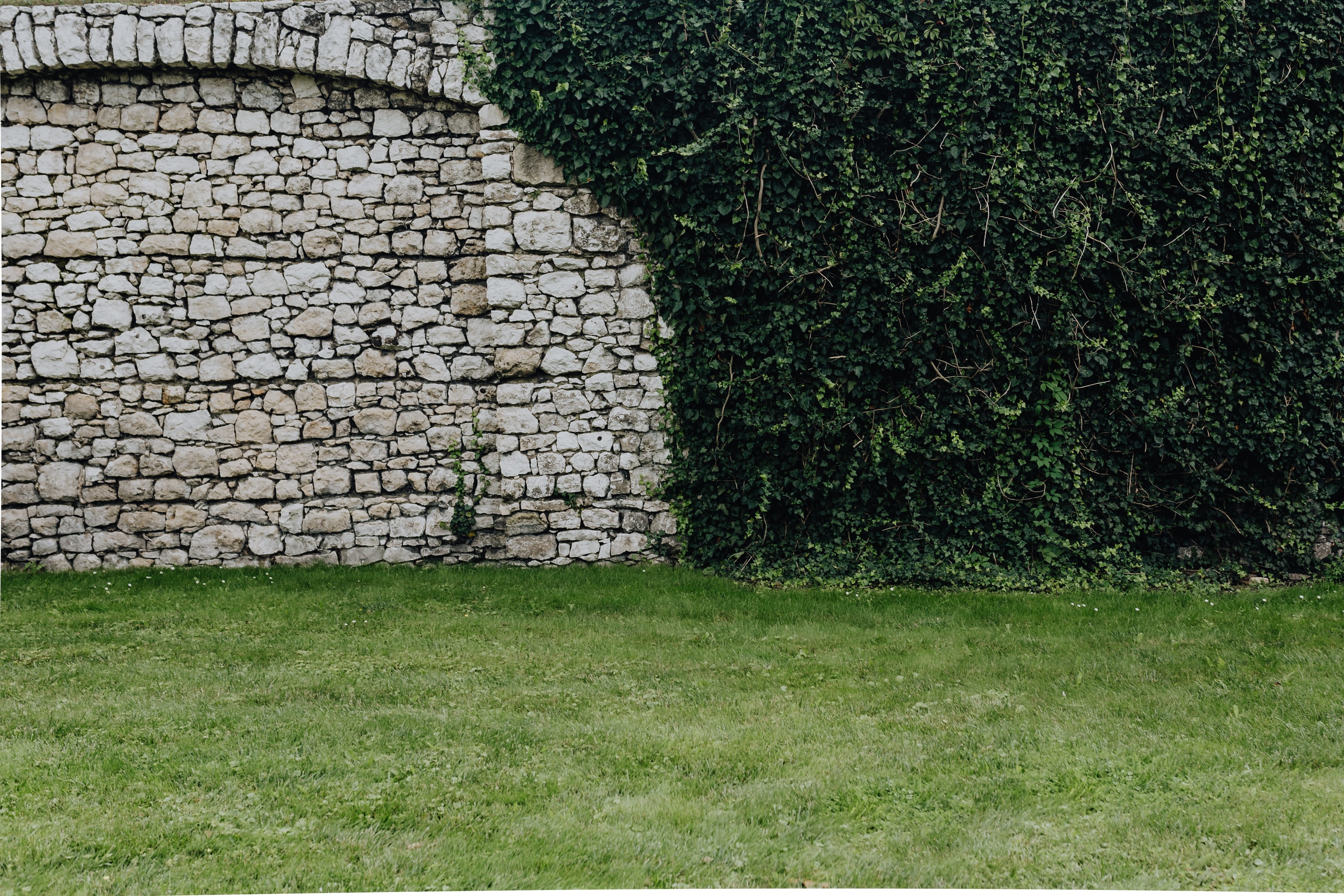 polish, wall, cracow, grass, capital, no people, karkow, land, polska, wall - building feature, growth, magic, stone material, outdoors, first, stone wall, HD Wallpaper