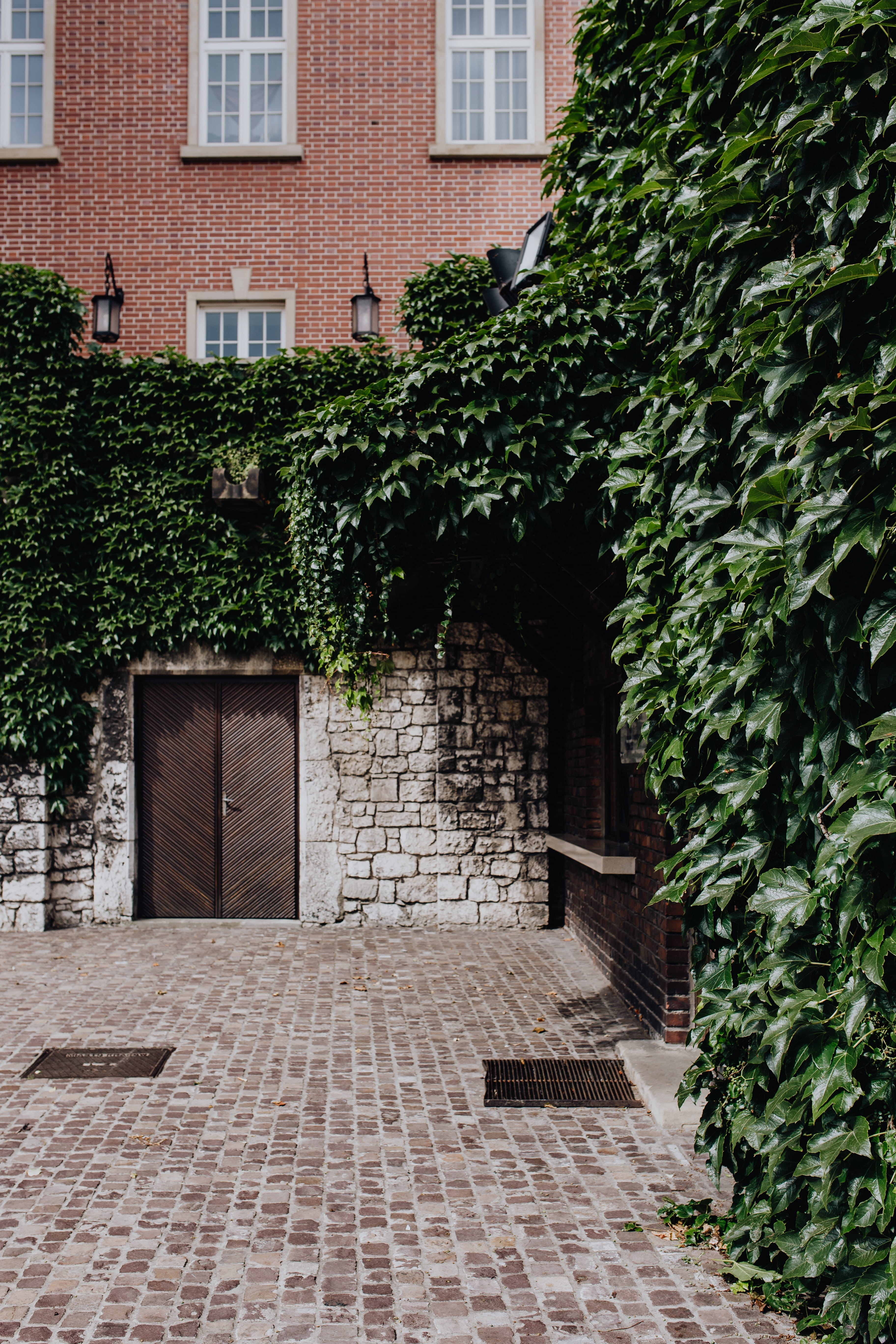 travel, building exterior, door, outdoors, plant, capital, Europe, polska, residential district, day, first, green color, karkow, town, entrance, 5K, cracow, Phone HD Wallpaper