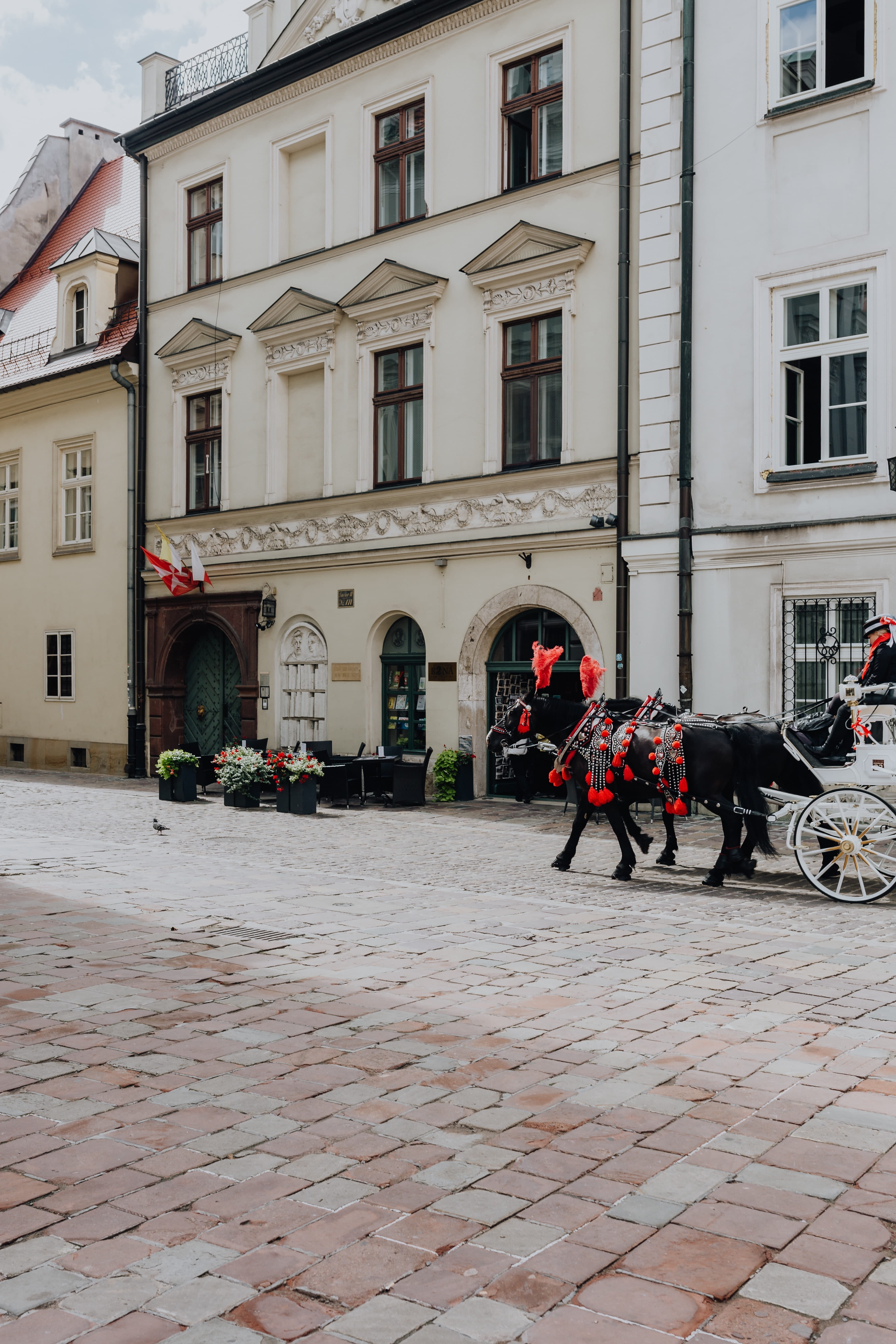 land vehicle, first, cracow, city life, mode of transportation, lifestyles, cobblestone, built structure, footpath, town, window, outdoors, building exterior, Phone HD Wallpaper