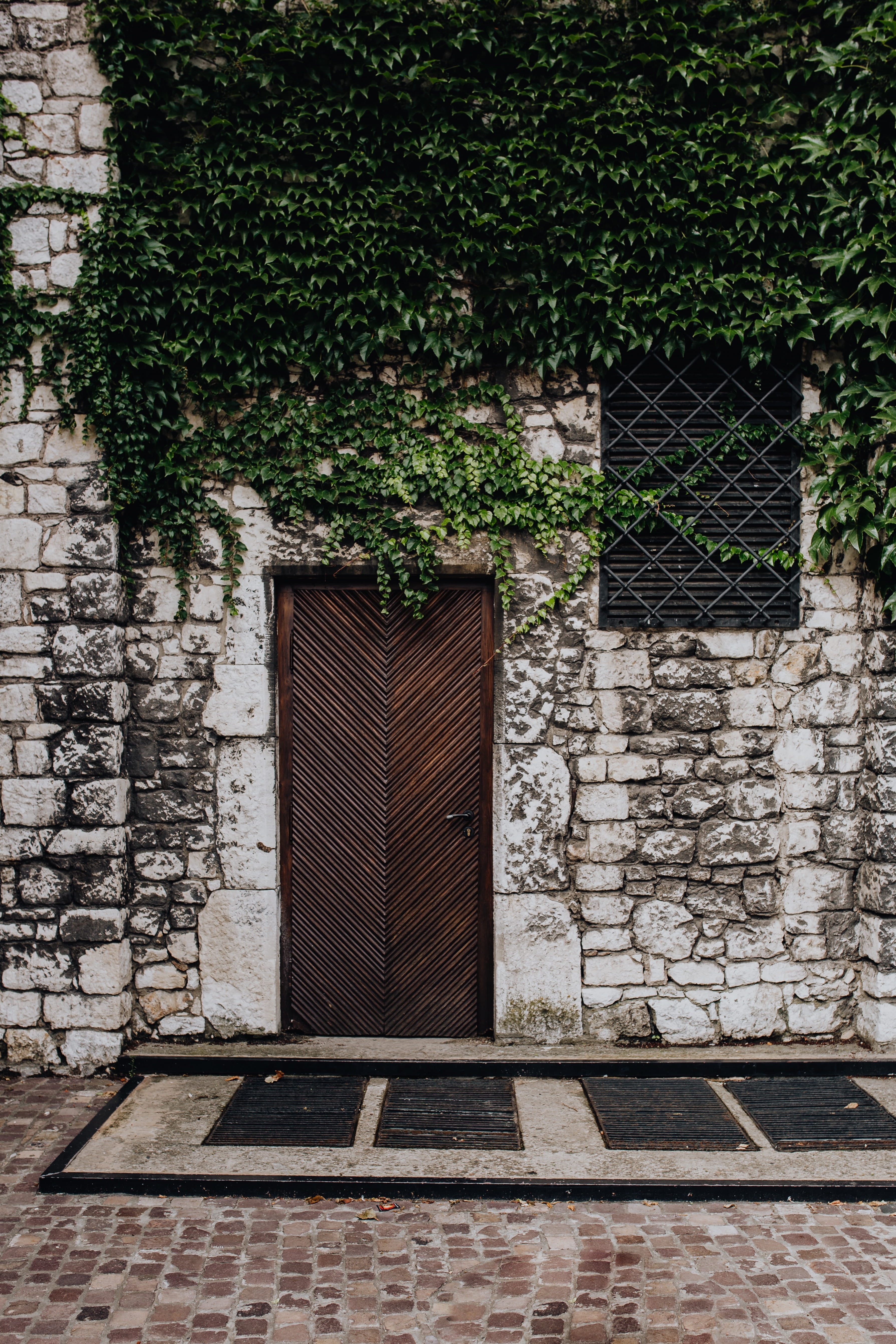 growth, building exterior, Europe, karkow, no people, capital, house, architecture, magic, 5K, brick, building, nature, window, plant, cracow, outdoors, Phone HD Wallpaper