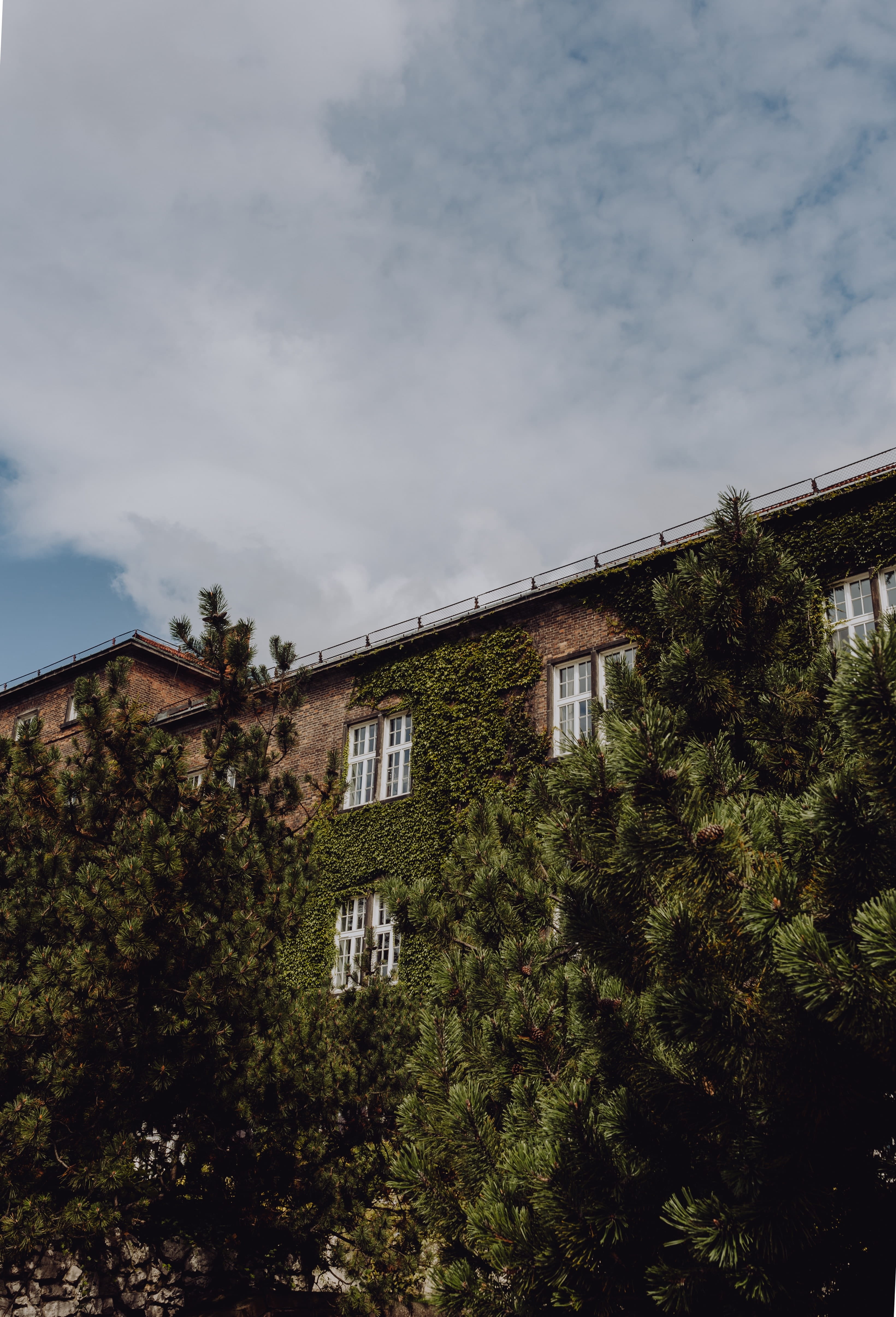 window, city, polish, plant, first, Poland, building, sky, polska, residential district, capital, cloud - sky, green color, built structure, building exterior, Phone HD Wallpaper