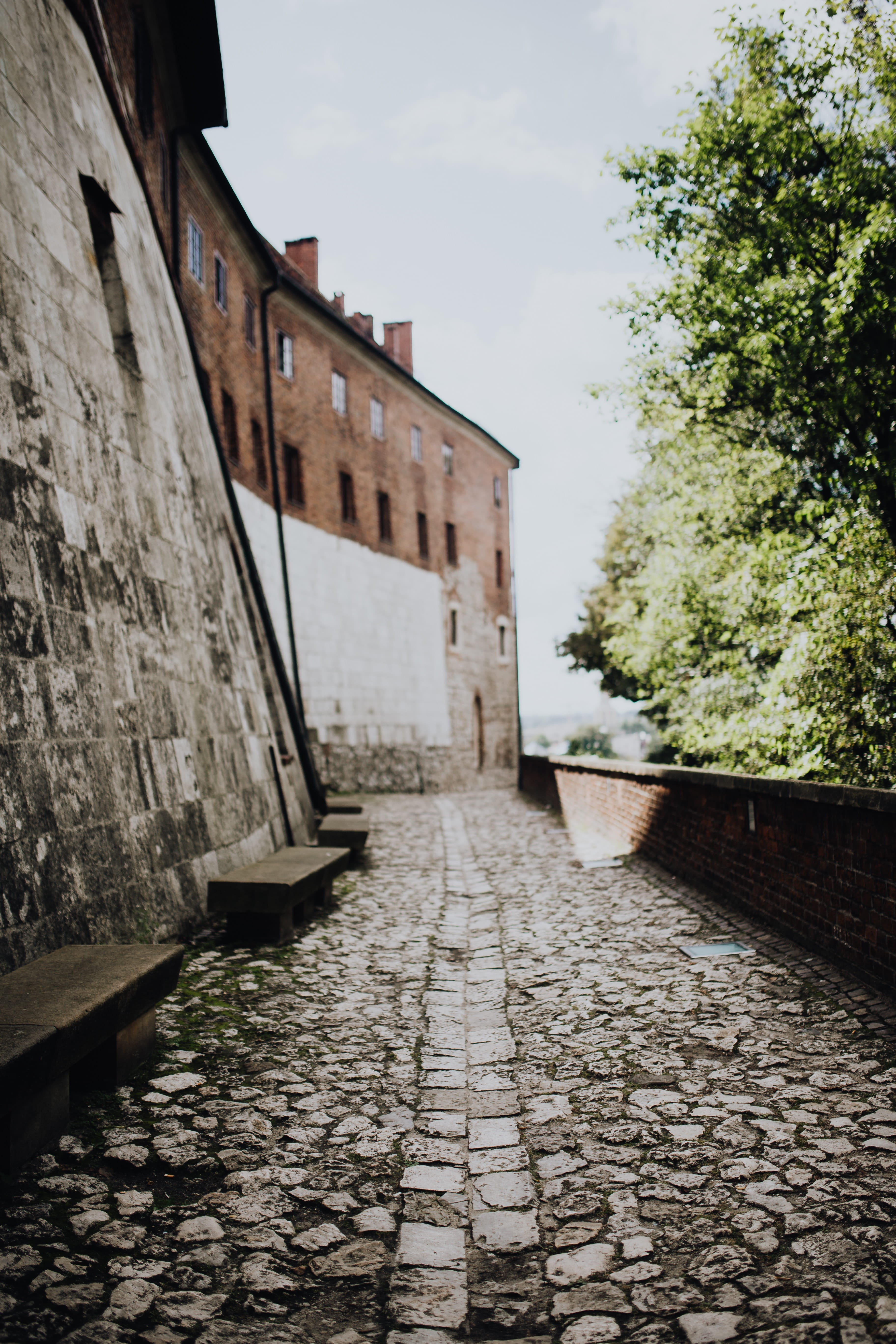 Europe, capital, footpath, the way forward, cracow, sky, no people, karkow, architecture, polska, the past, outdoors, tree, built structure, city, water, Phone HD Wallpaper