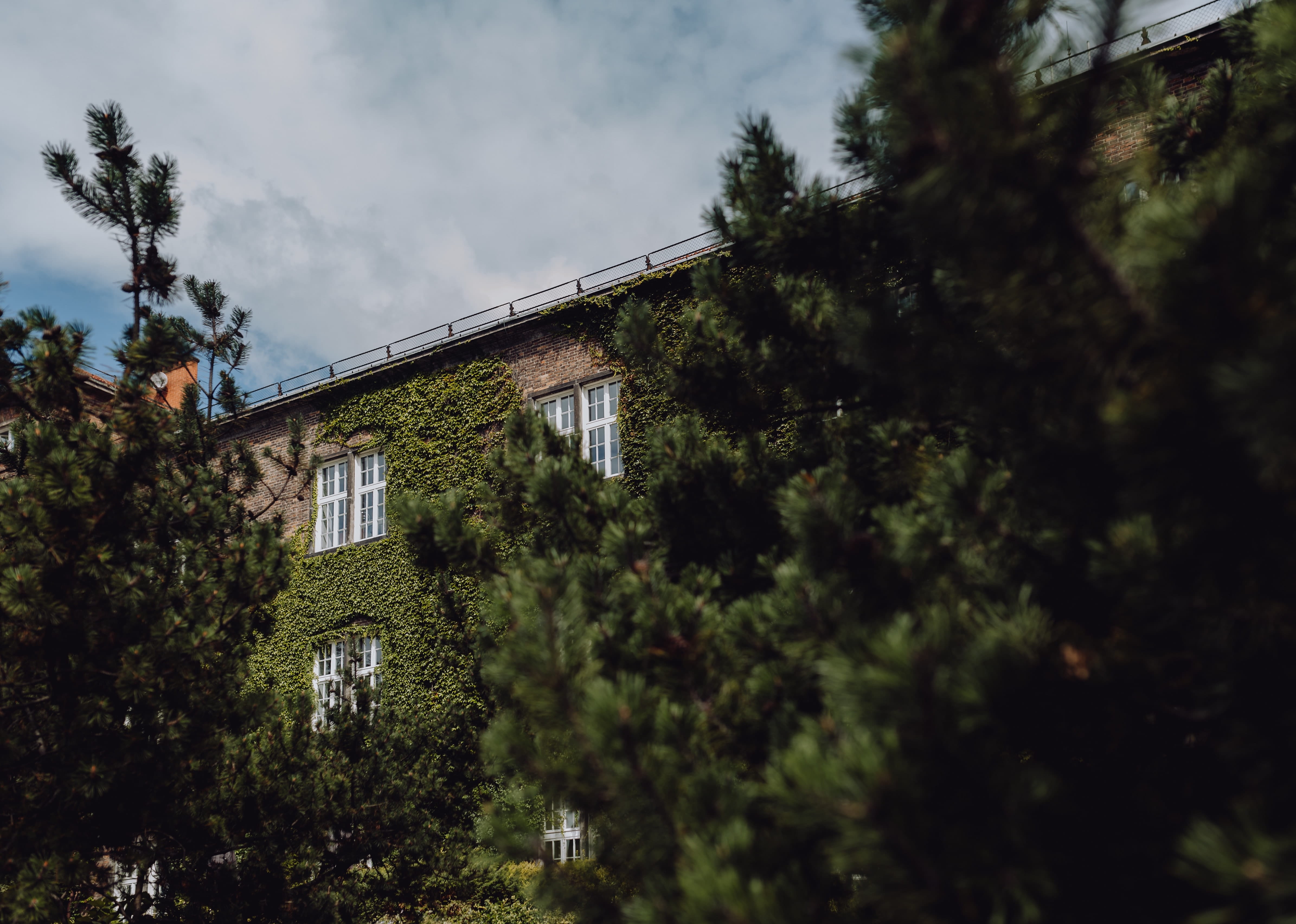 land, Poland, growth, capital, first, green color, city, 4K, low angle view, no people, travel, plant, Europe, karkow, building exterior, residential district, HD Wallpaper