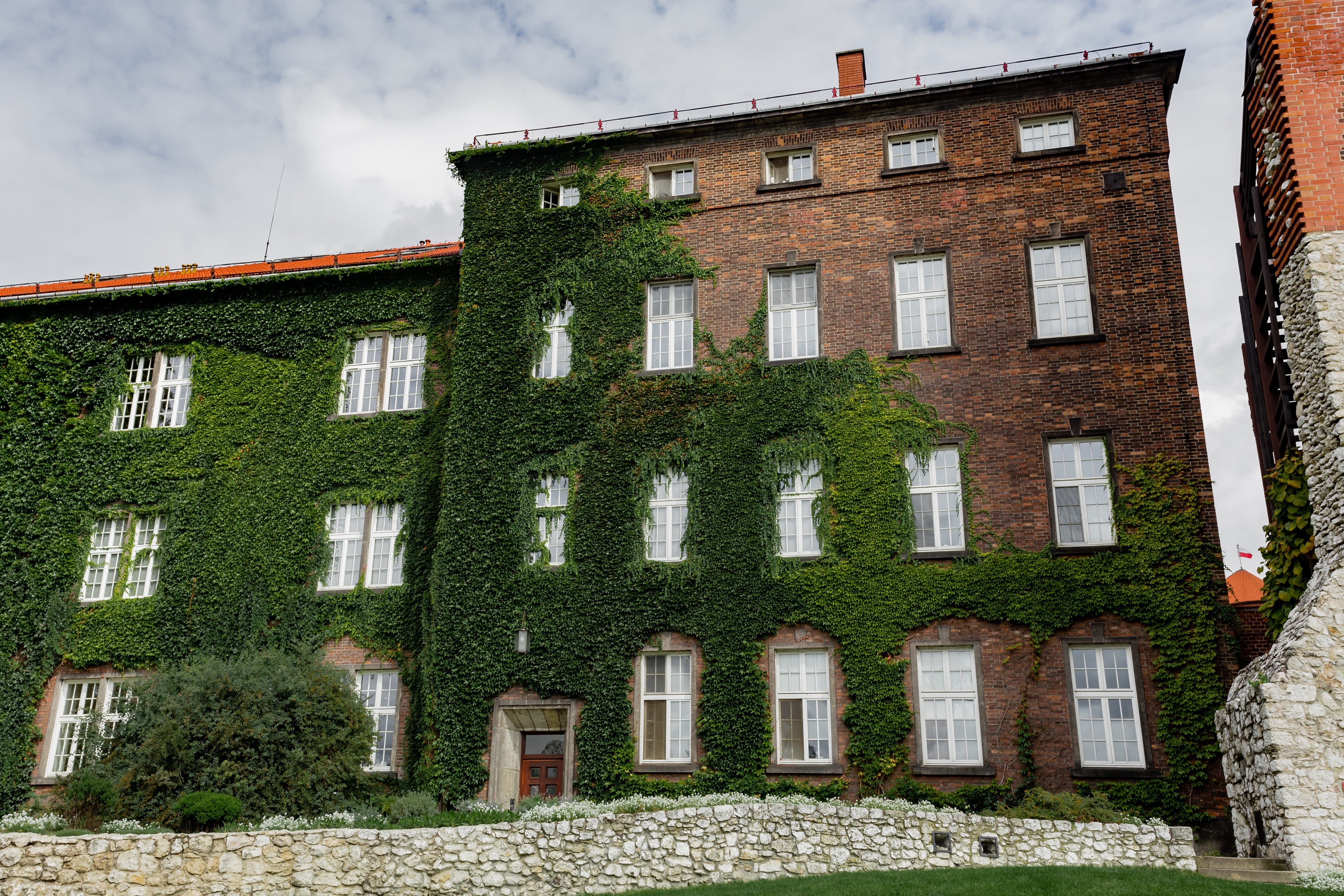 low angle view, sky, history, Europe, building, cloud - sky, window, tree, polish, roof, polska, plant, 5K, nature, day, Poland, ivy, karkow, house, residential district, HD Wallpaper