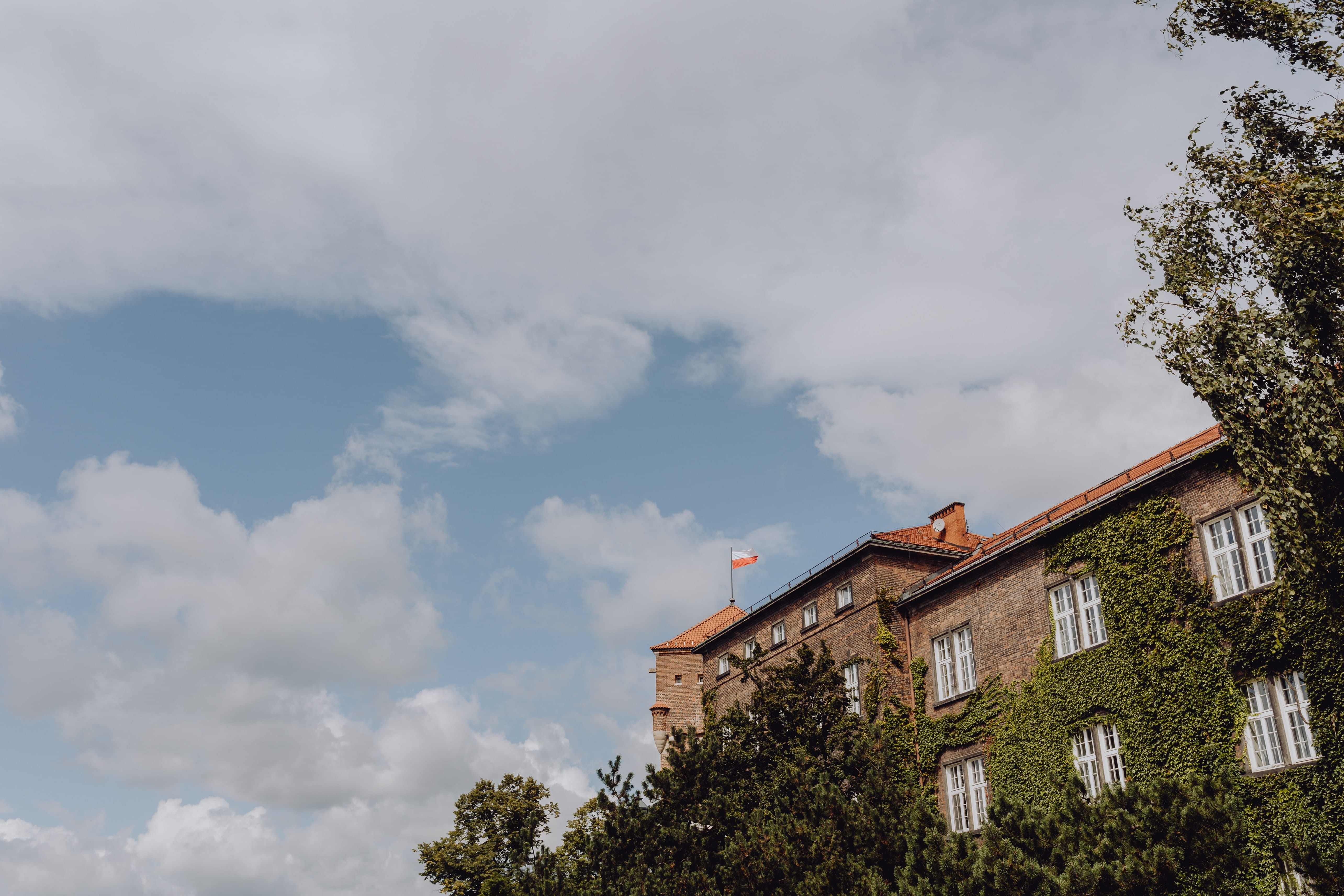 tree, capital, building, day, karkow, polska, town, outdoors, growth, sky, high section, residential district, beauty in nature, cracow, blue, built structure, HD Wallpaper