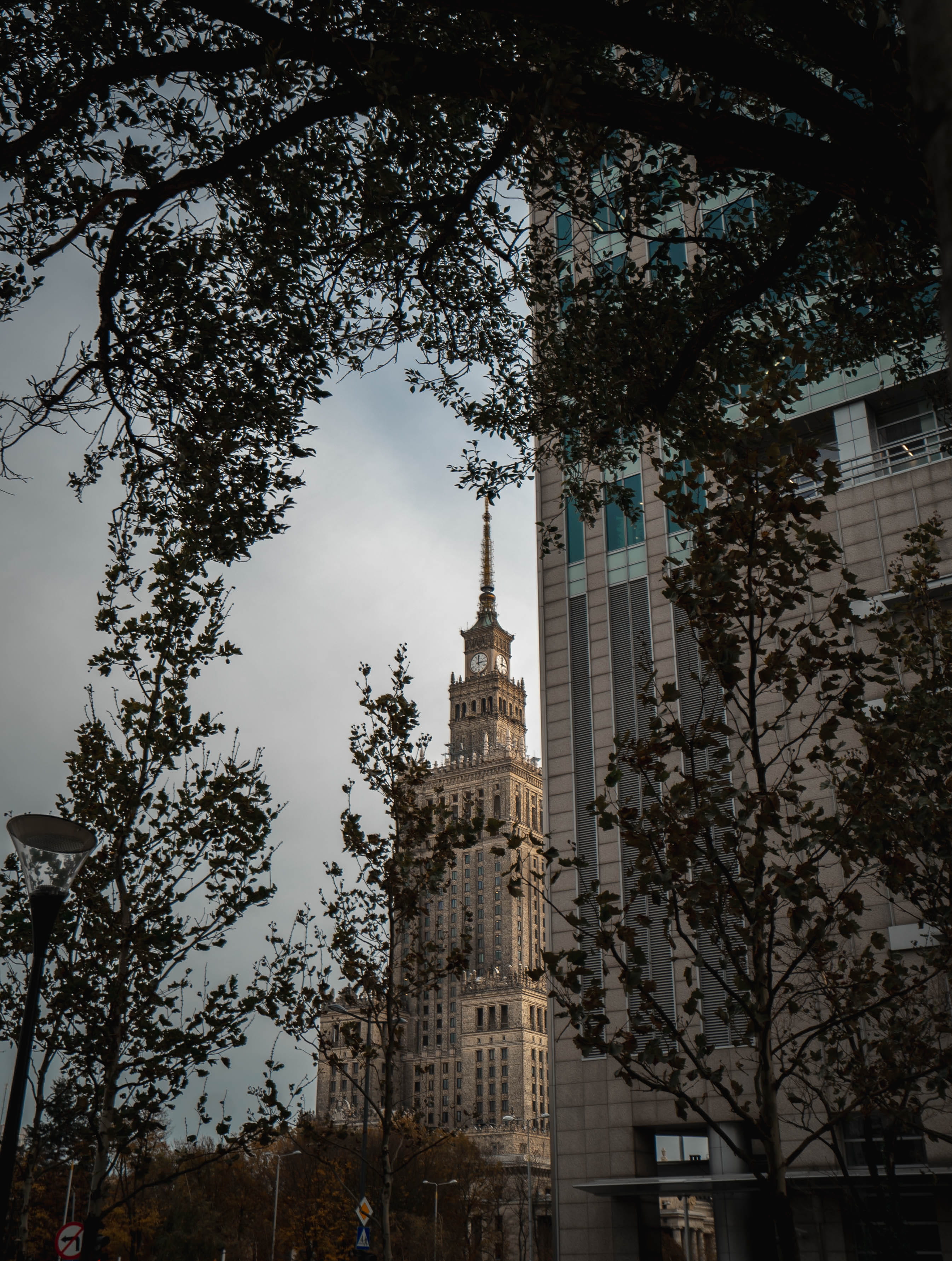 building exterior, tourism, office building, plant, clock tower, tree, belief, 2K, built structure, growth, travel, travel destinations, spire, city, no people, Phone HD Wallpaper
