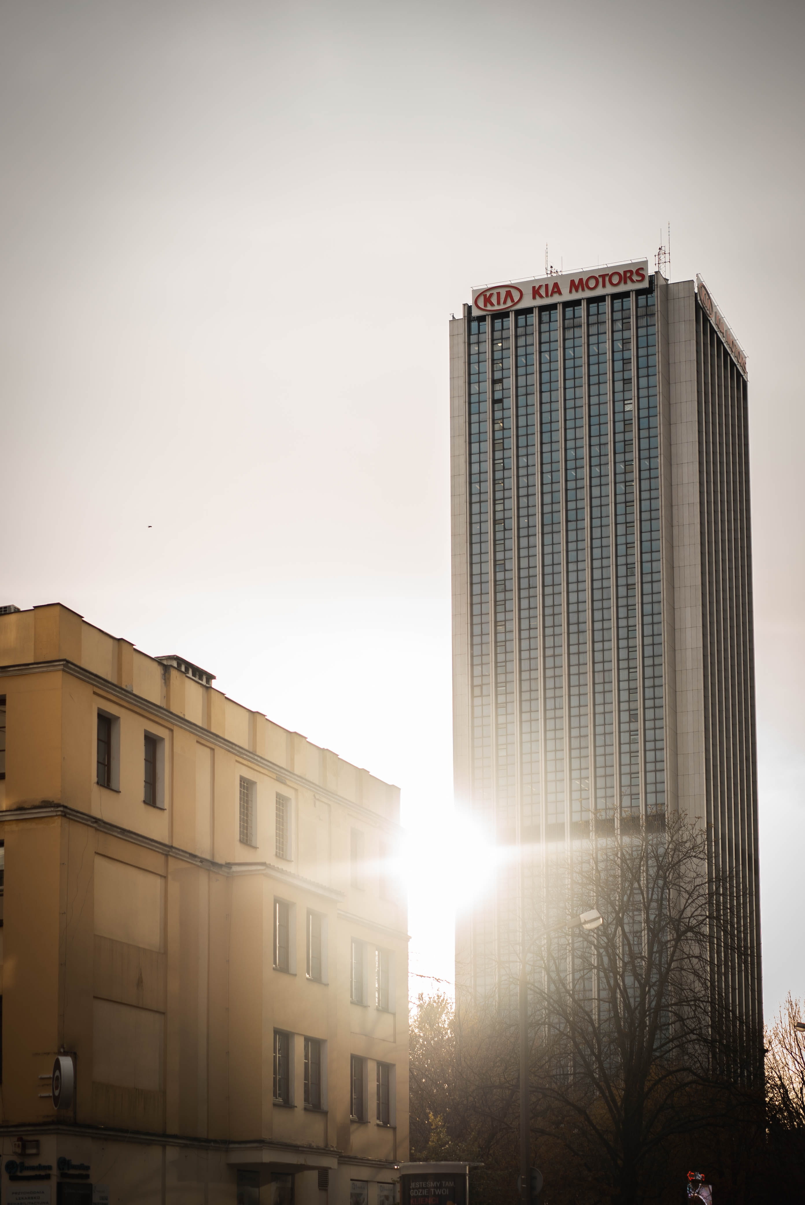 sky, realestate, no people, high, office building, neighborhood, nature, architecture, building, warsaw, day, skyscraper, sun, low angle view, metropolis, Phone HD Wallpaper