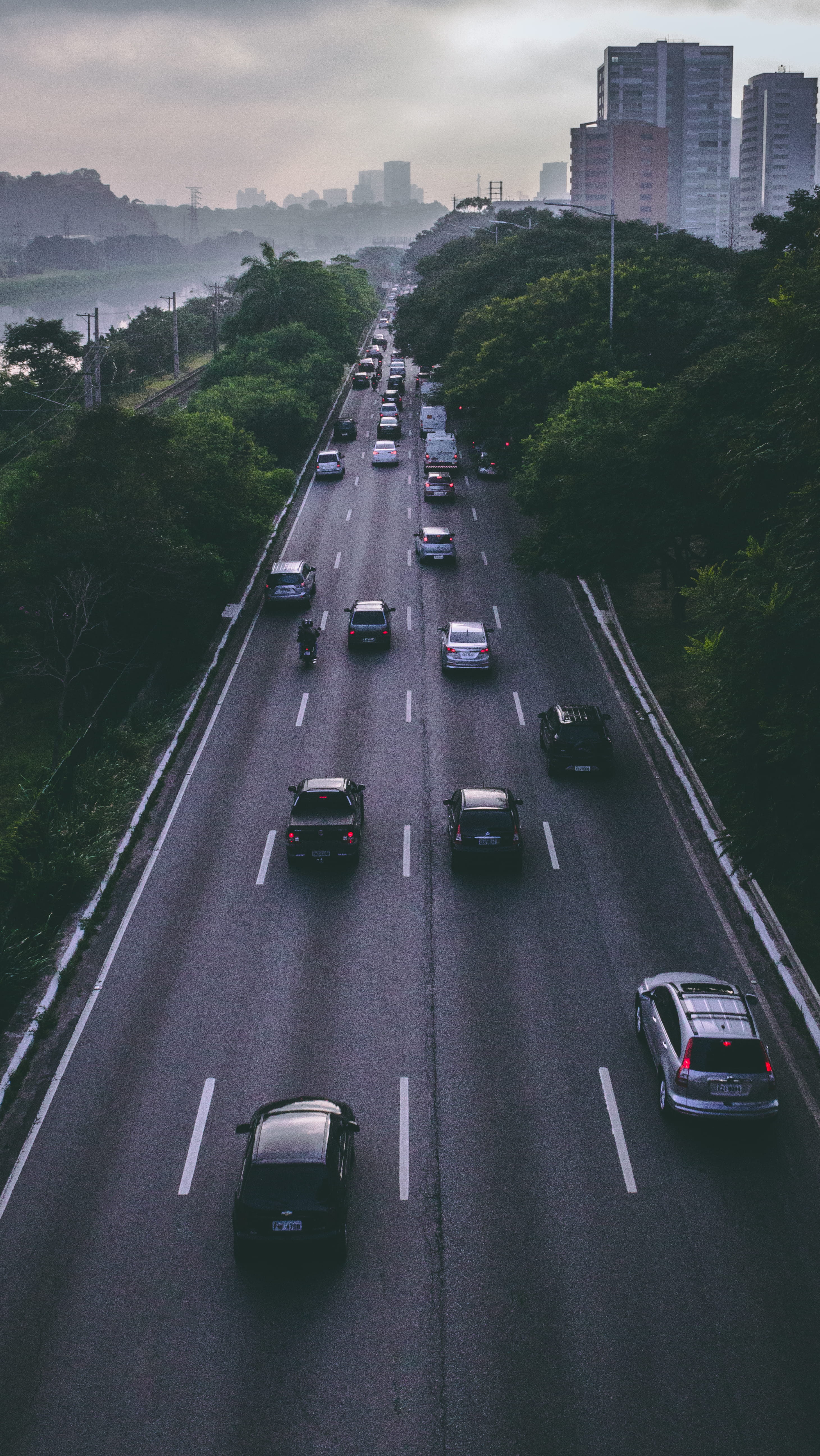 avenue, transportation, sign, tree, the way forward, direction, outdoors, built structure, brazil, city, multiple lane highway, 5K, on the move, street, Phone HD Wallpaper