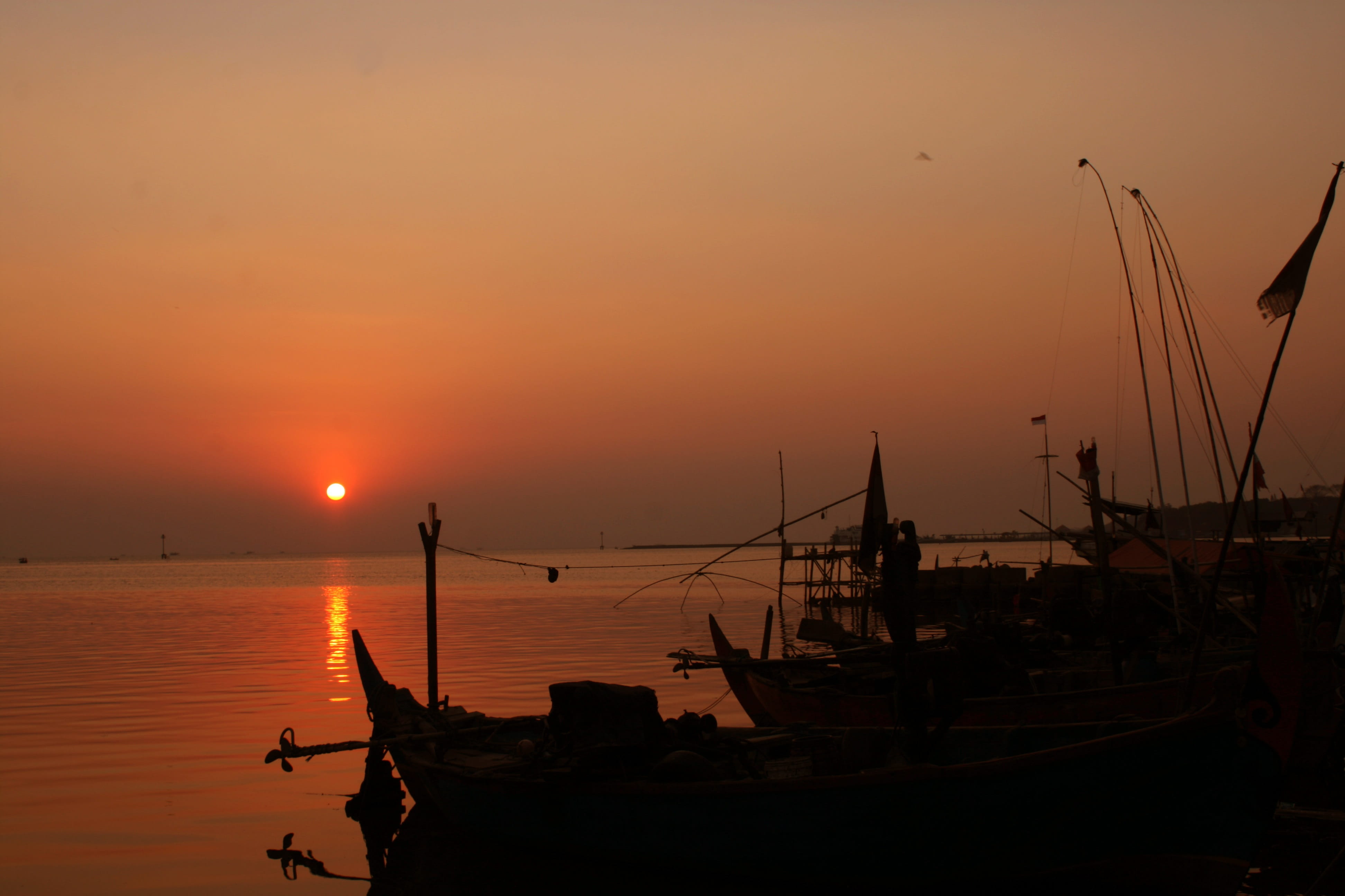 dawn, travel, orange color, tranquil scene, summer, moored, fishing boat, tranquility, mode of transportation, sailboat, sunset, ship, water, 4K, twilight, HD Wallpaper