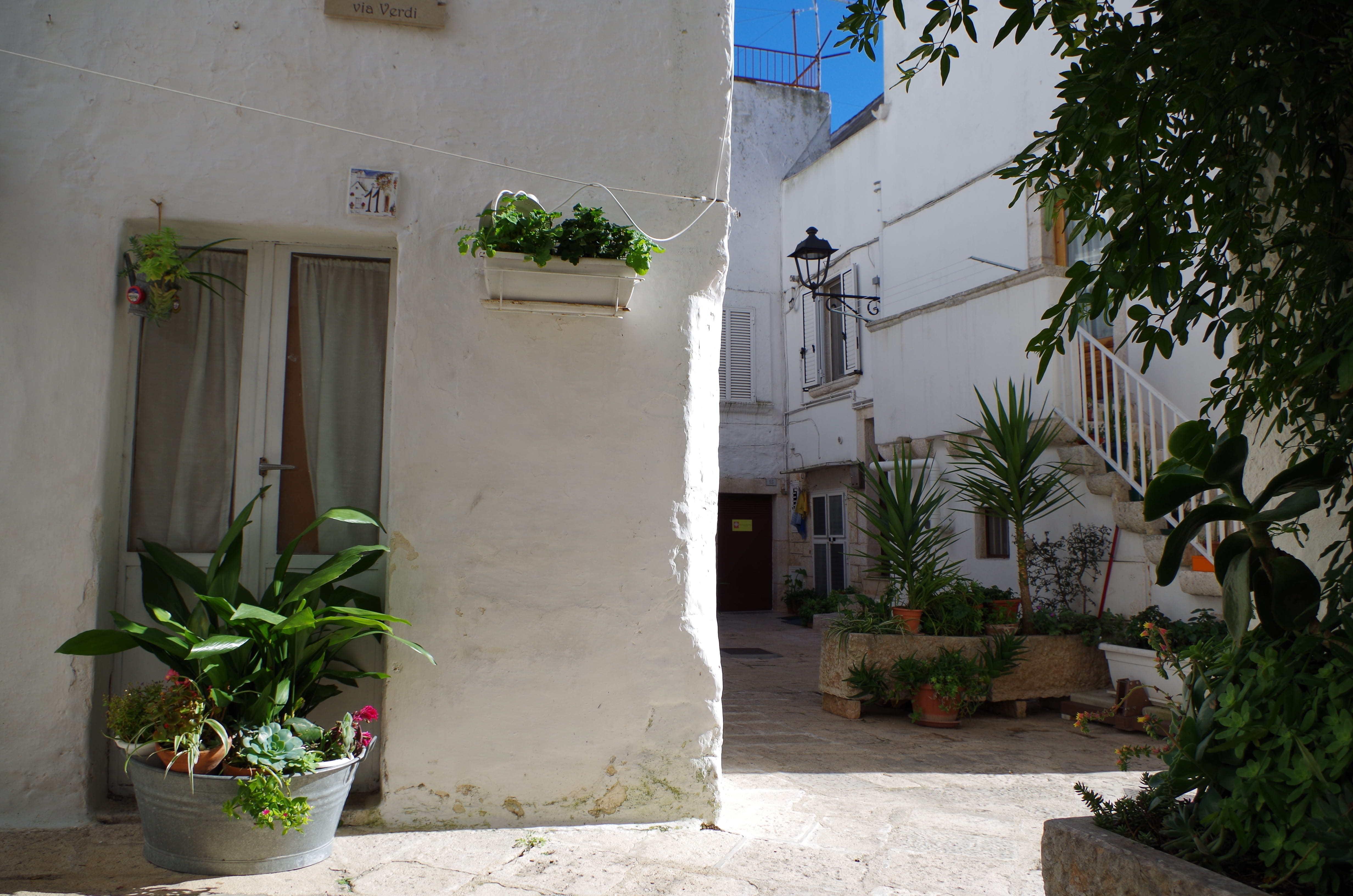 holidays, city, architecture, day, built structure, outdoors, historical centre, tree, 4K, Locorotondo, alley, italy, houseplant, building, leaf, Italy, HD Wallpaper