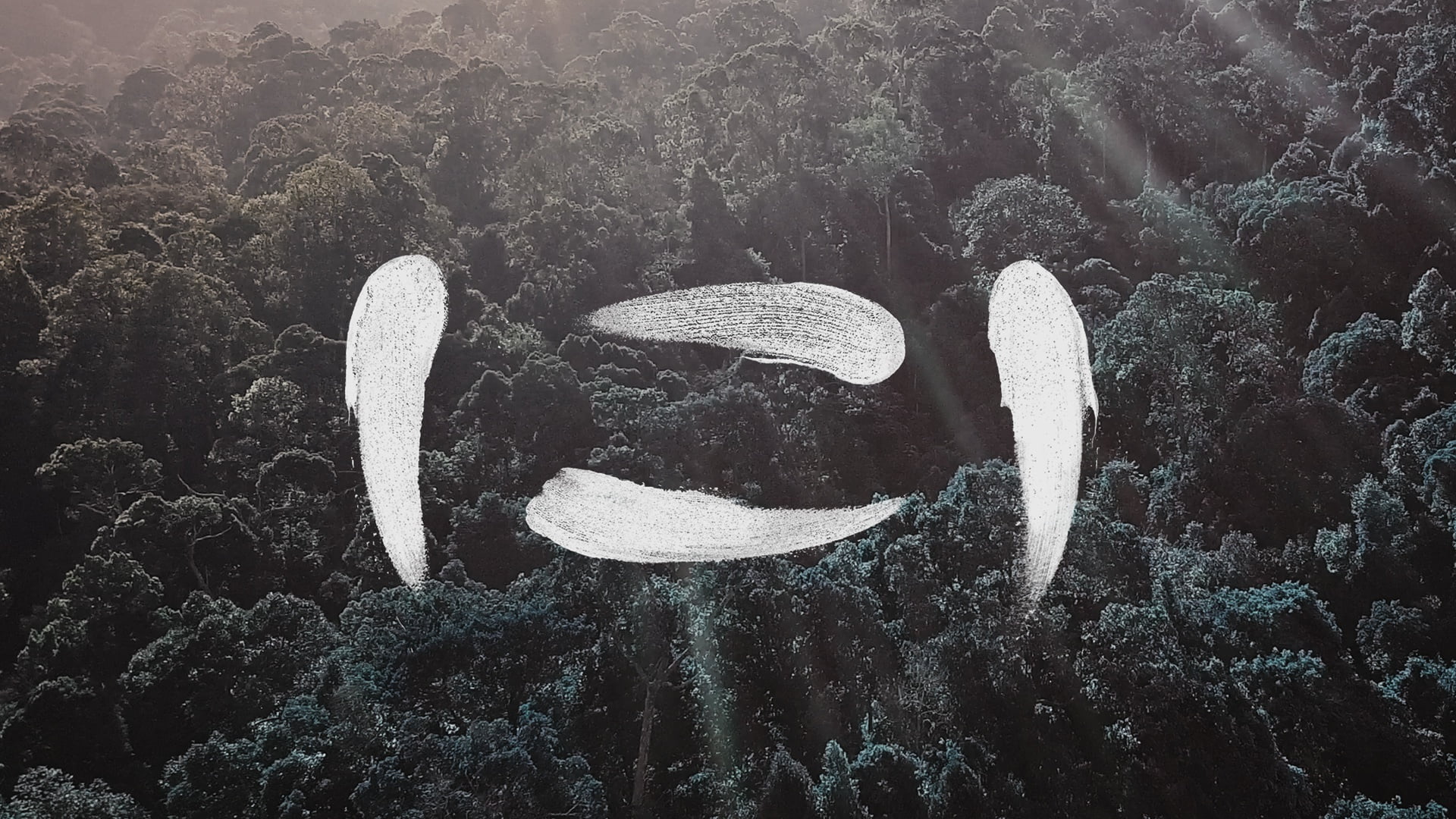 SLUMBERJACK, Music, 1080P, Sarawak EP, Monstercat, Cover, HD Wallpaper