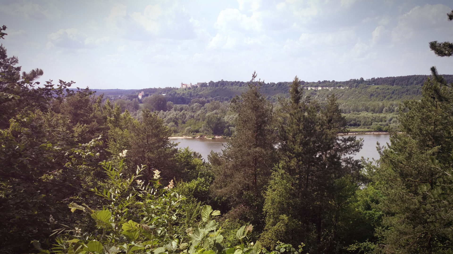 Poland, 1080P, river, Vistula, forest, landscape, HD Wallpaper
