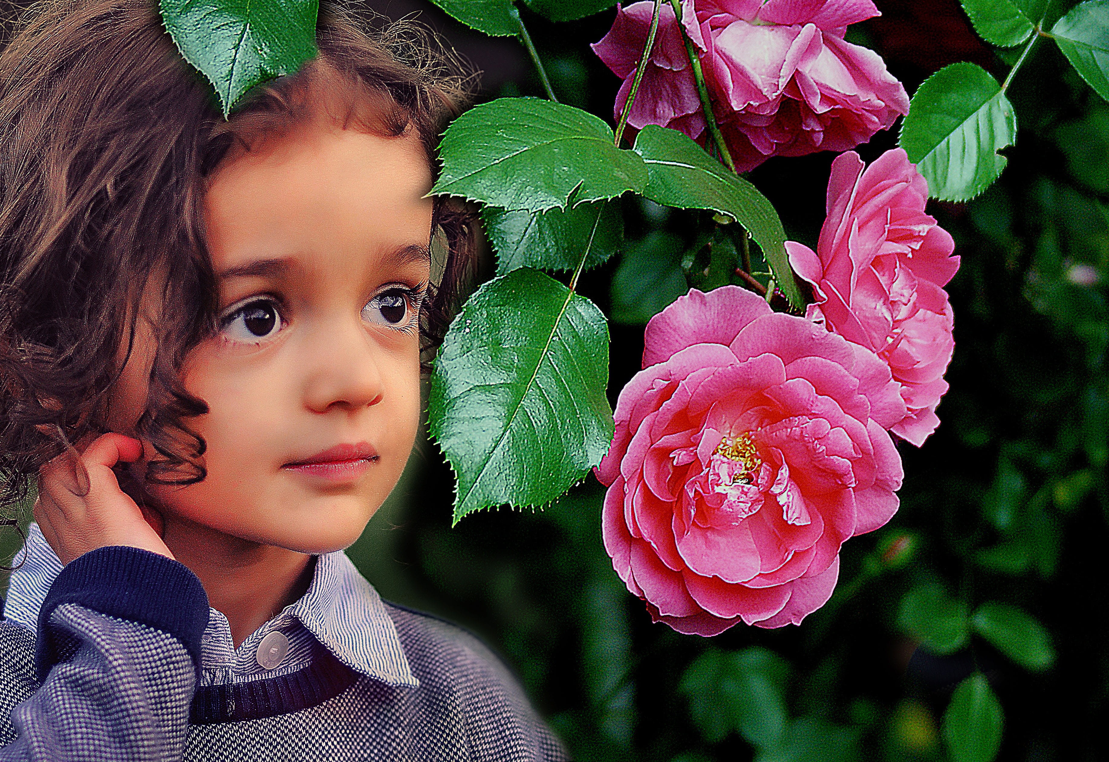 pink, plant part, headshot, selective, Portrait, girl, plant, girls, beside, innocence, women, fresh look, flowering plant, youth, children only, hairstyle, HD Wallpaper