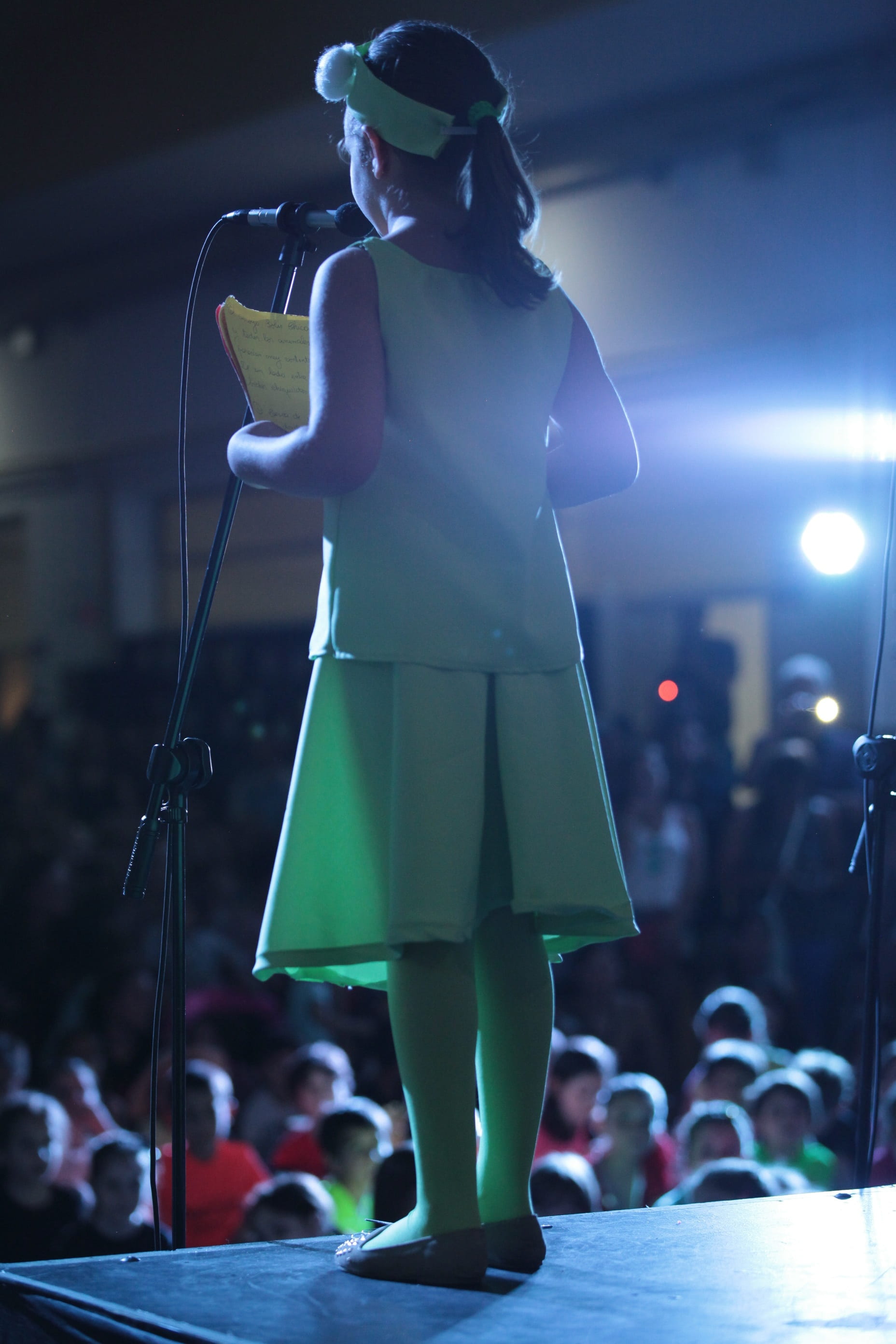 act, singing, singer, dress, real people, theatre, life, people, input device, education, children, green, ligths, one person, standing, stage, focus on foreground, Phone HD Wallpaper