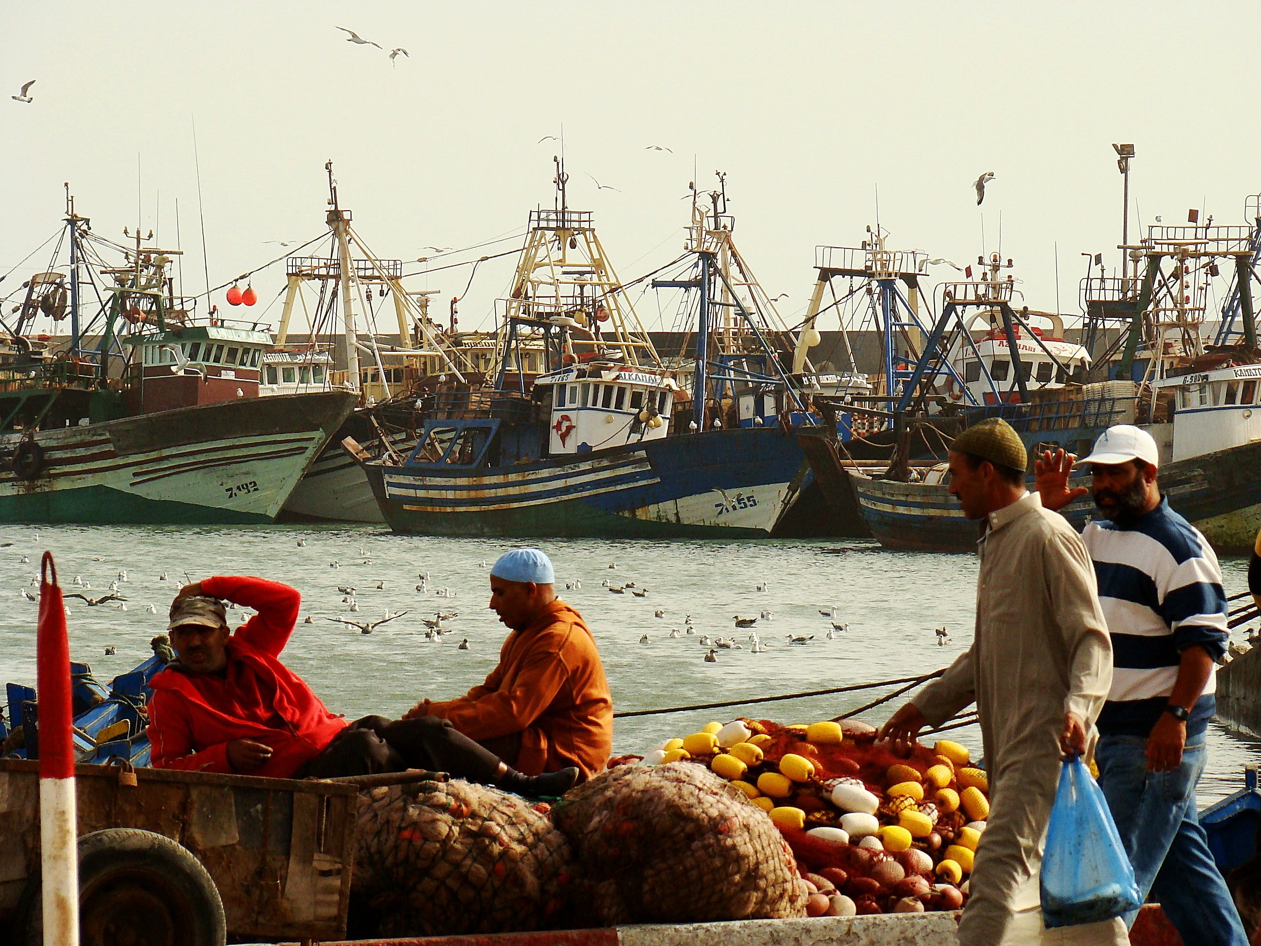 work, commercial Fishing Net, sitting, culture, nautical Vessel, fishing Industry, sky, occupation, profession, experience, architecture, fish, morocco, HD Wallpaper
