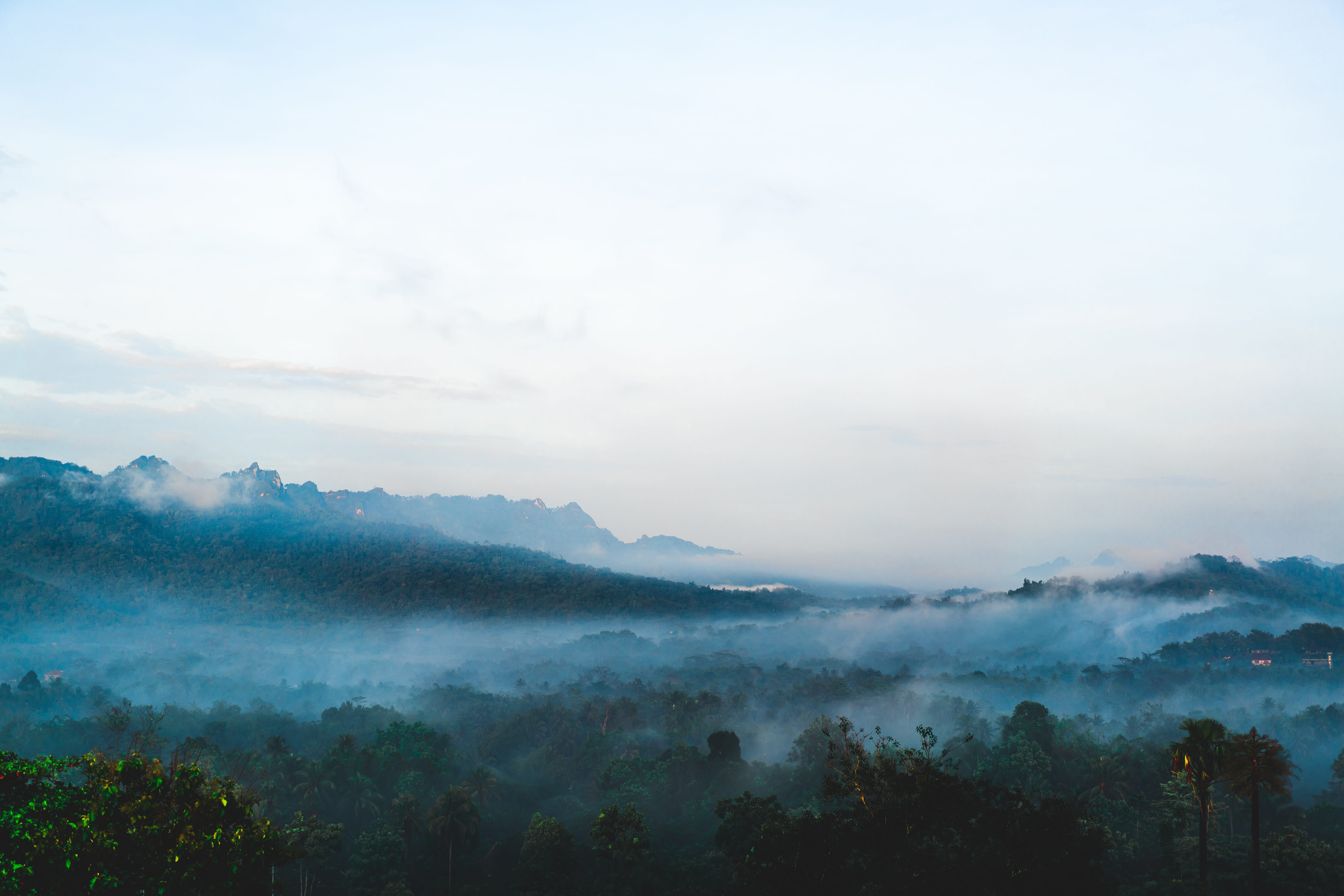 trees, tranquility, tranquil scene, landscape, day, bali, glow, jungle, moutains, woods, clouds, nature, mountain, outdoors, idyllic, pink, horizon, no people, HD Wallpaper