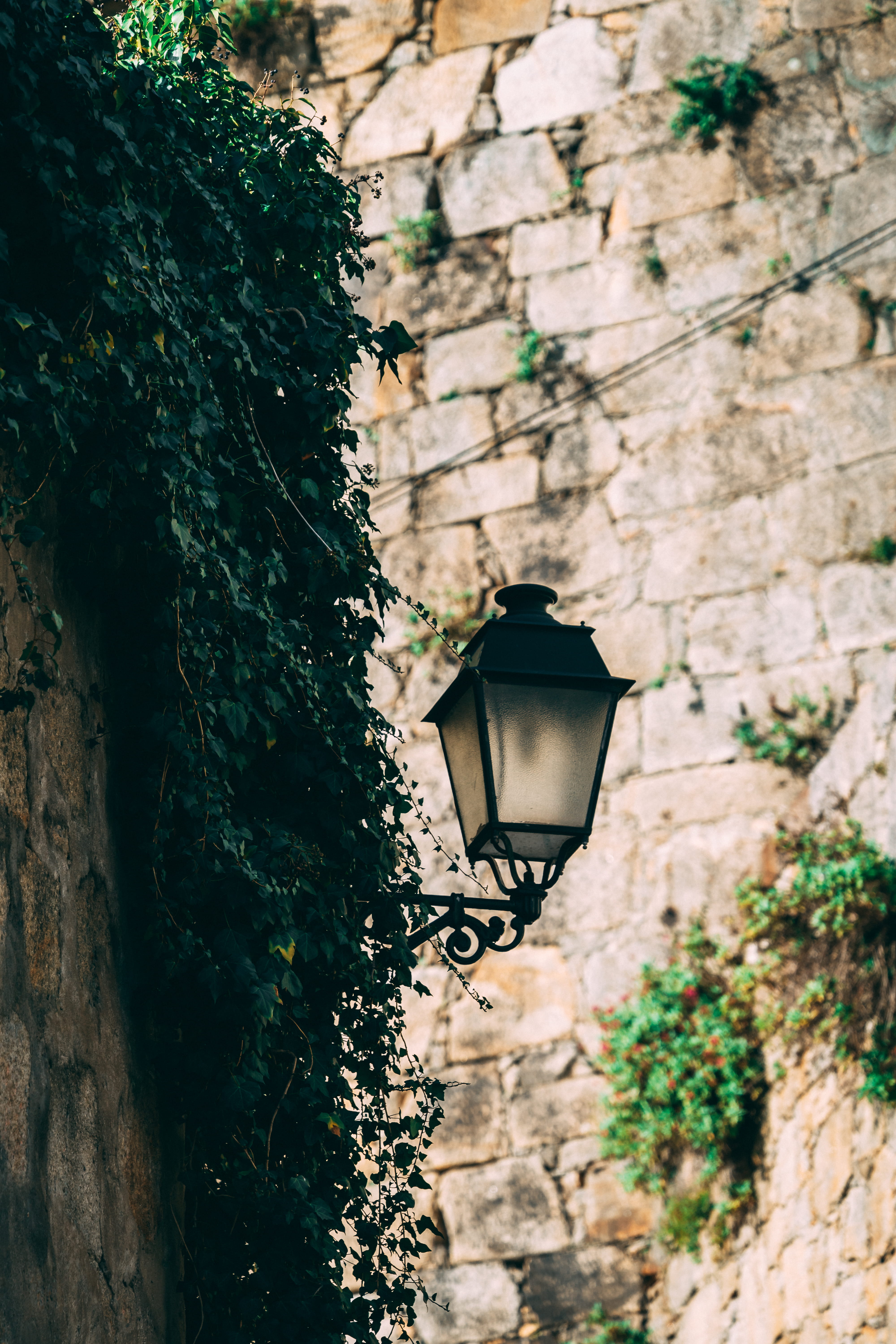 wall, lighting equipment, building exterior, no people, nature, building, day, stone wall, tree, trunk, black, built structure, wall - building feature, Phone HD Wallpaper