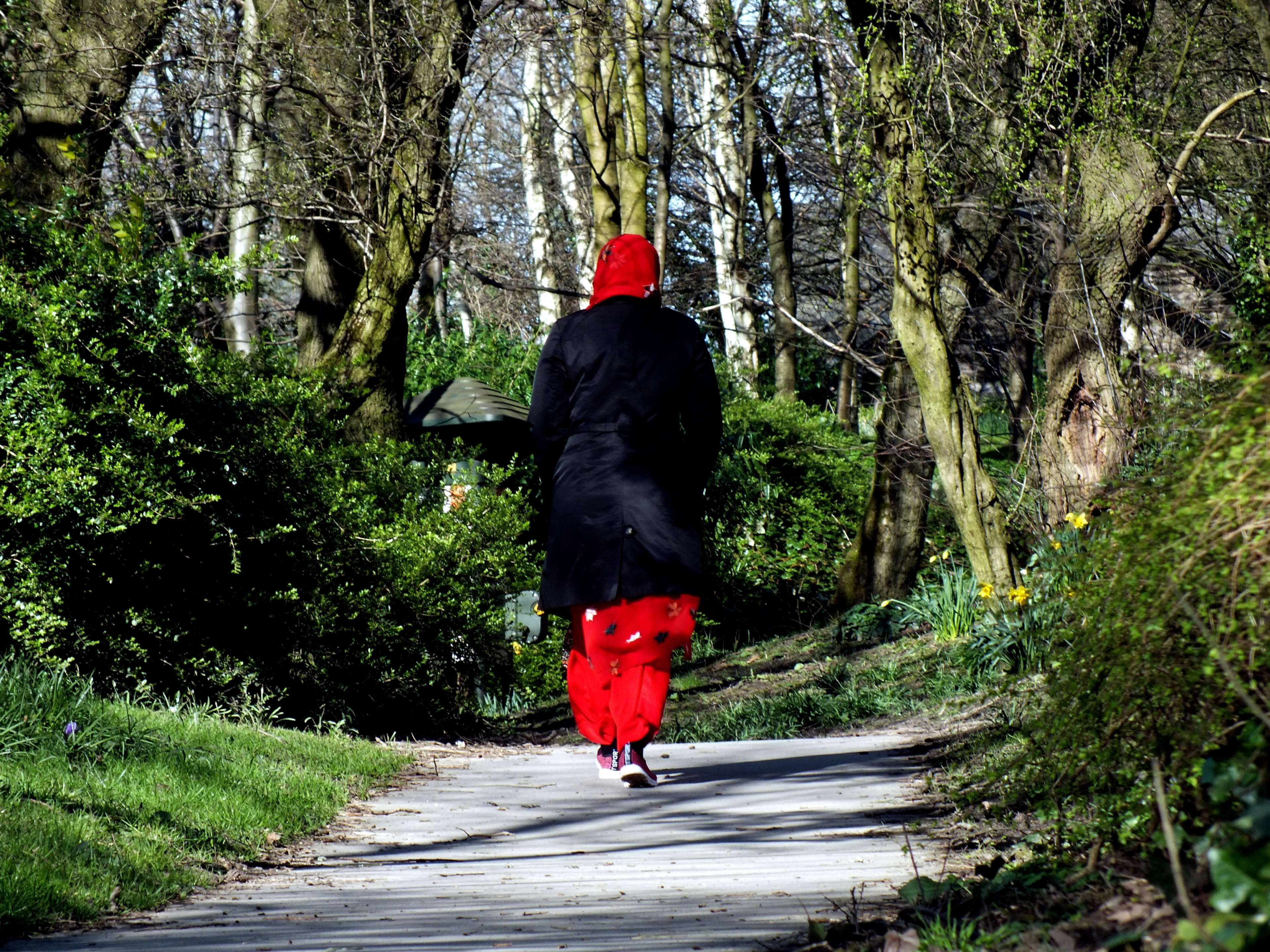 rear view, walk, red, girl, one animal, day, tree, real people, land, garden, lifestyles, pakistani, growth, clothing, one person, park, leisure activity, HD Wallpaper