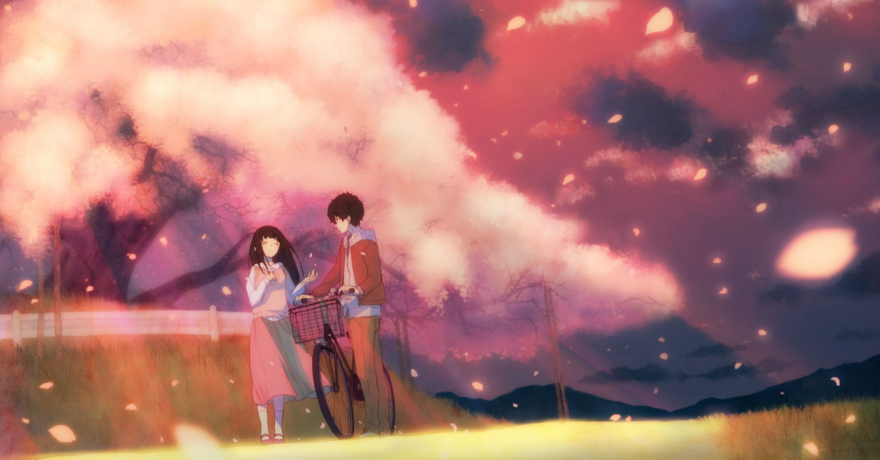 bicycle, houtarou, petals, black, cherry, hair, pink, blossoms, chitanda, oreki, long, short, hyouka, eru, 720P, yakisoba, meron, HD Wallpaper