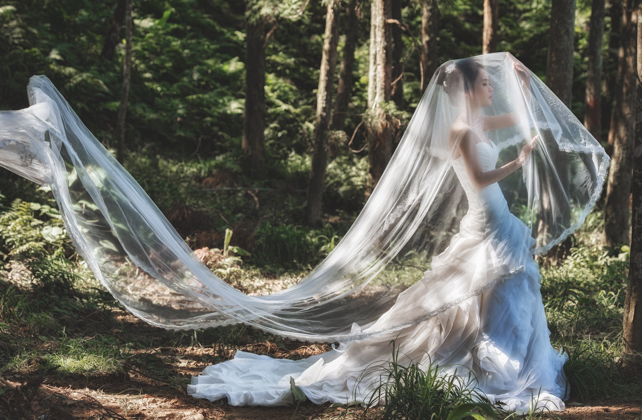 animals in the wild, women, outdoors, animal themes, Asian, bird, no people, sunlight, 1080P, vertebrate, day, animal wildlife, brides, tree, water, white color, HD Wallpaper