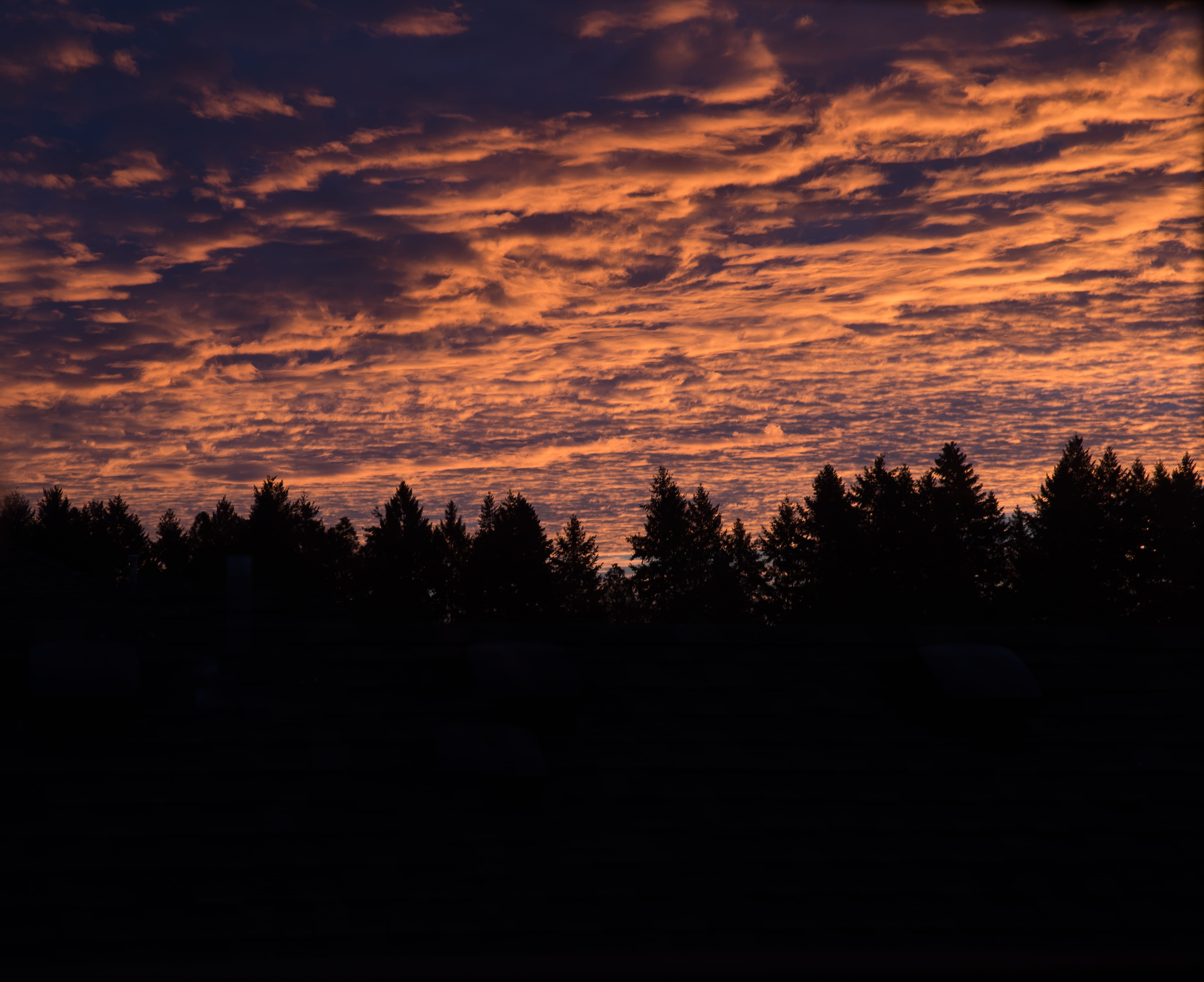 silhouette, coniferous tree, no people, or, idyllic, united states, color pop, sunrise, forest, orange, scenics - nature, portland, cloud - sky, non-urban scene, HD Wallpaper