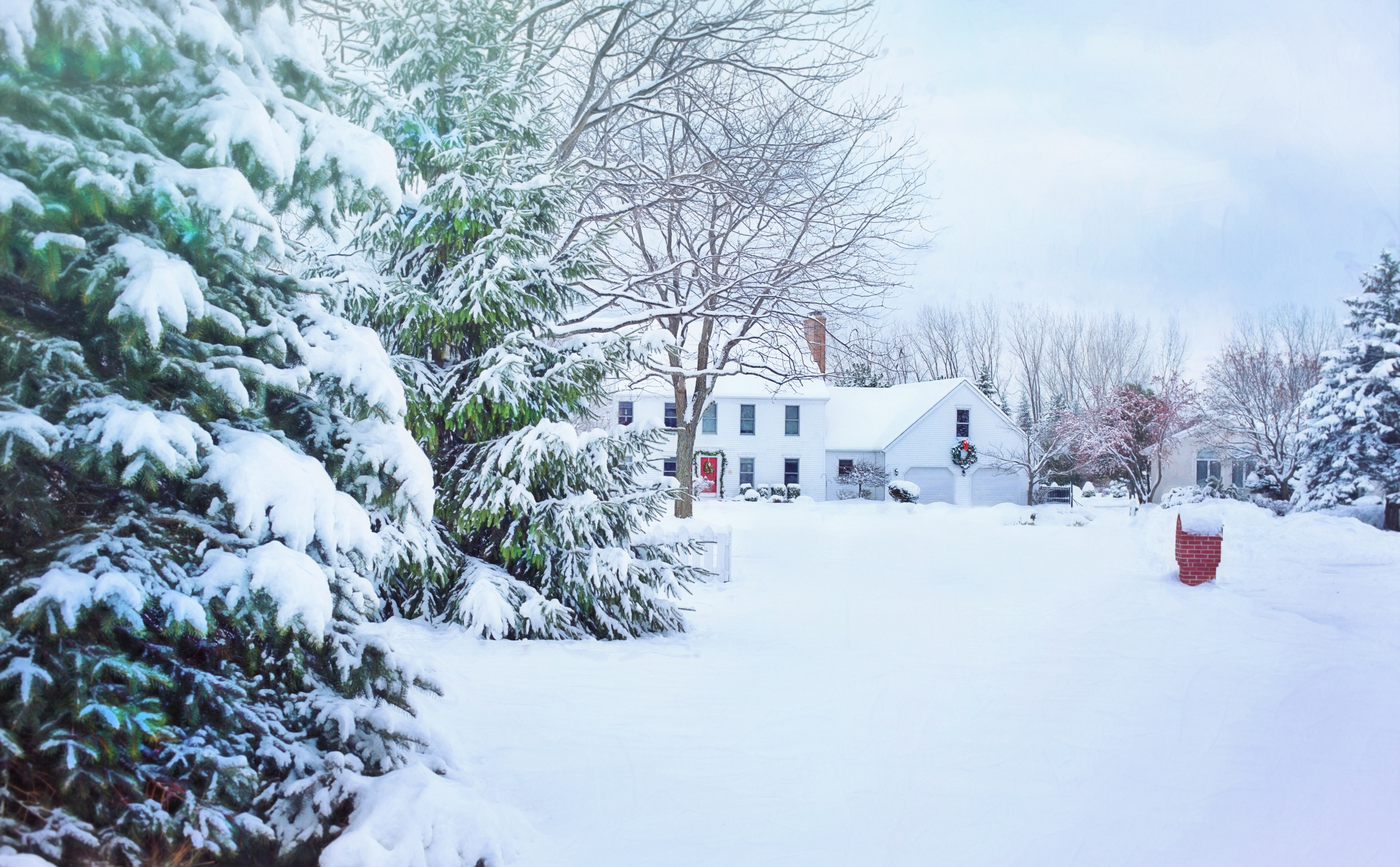 Xmas, Merry, building exterior, Winter, Beautiful, Christmas, Home, residential district, withered, 5K, Tradition, White, architecture, endoftheyear, tree, HD Wallpaper