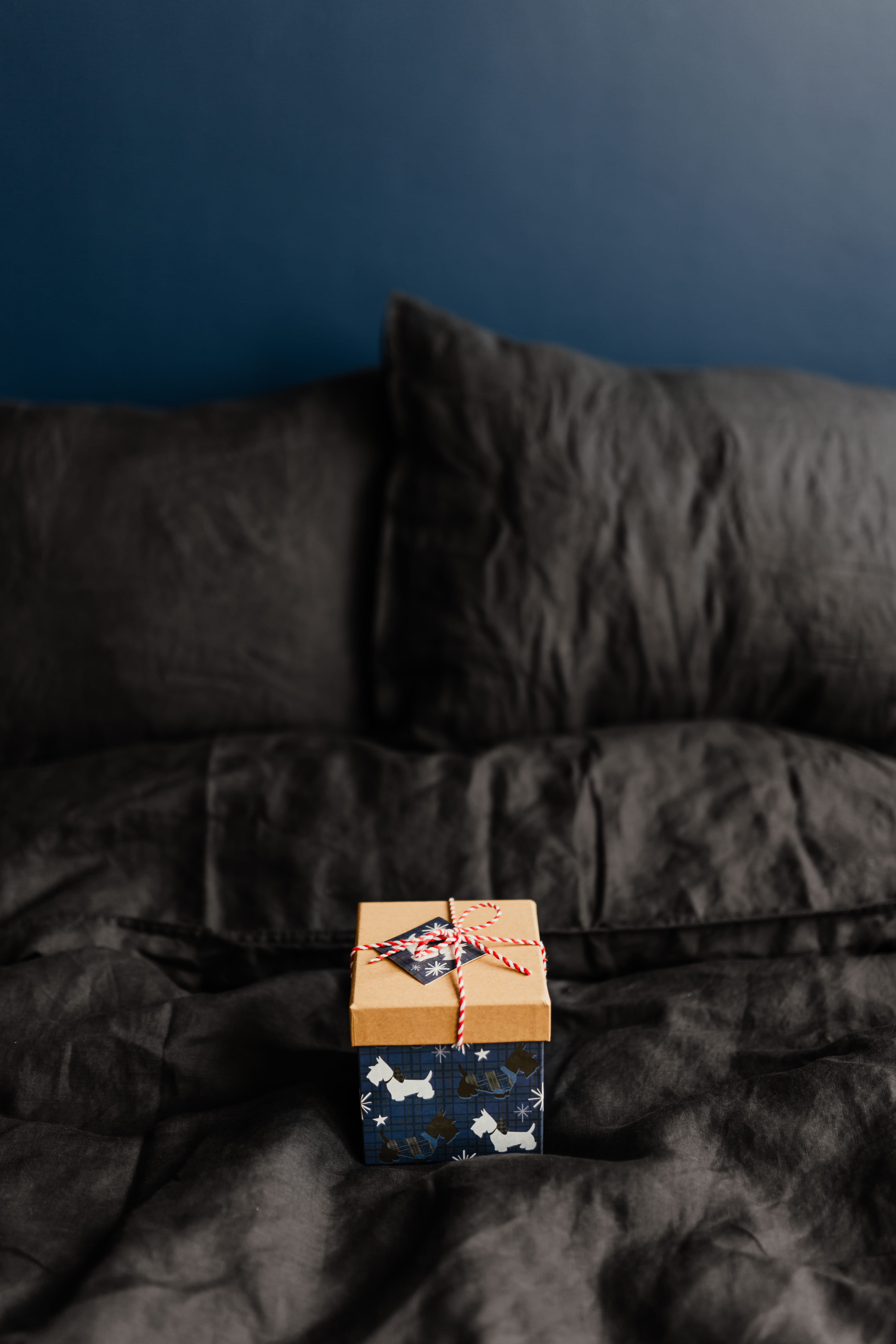 gift box, pet, celebration, on bed, animal, cute dog, bedroom, present, sofa, christmas, container, 5K, little, bedding, home interior, absence, puppy, Phone HD Wallpaper