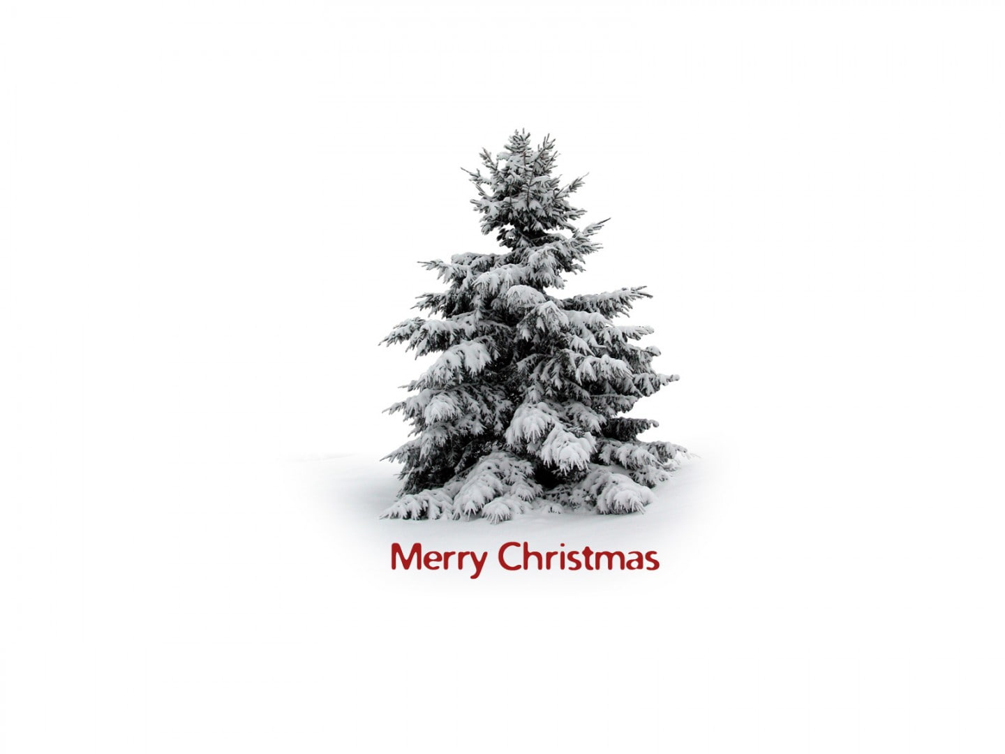 720P, tree, hd, christmas, christmastree, snow, HD Wallpaper