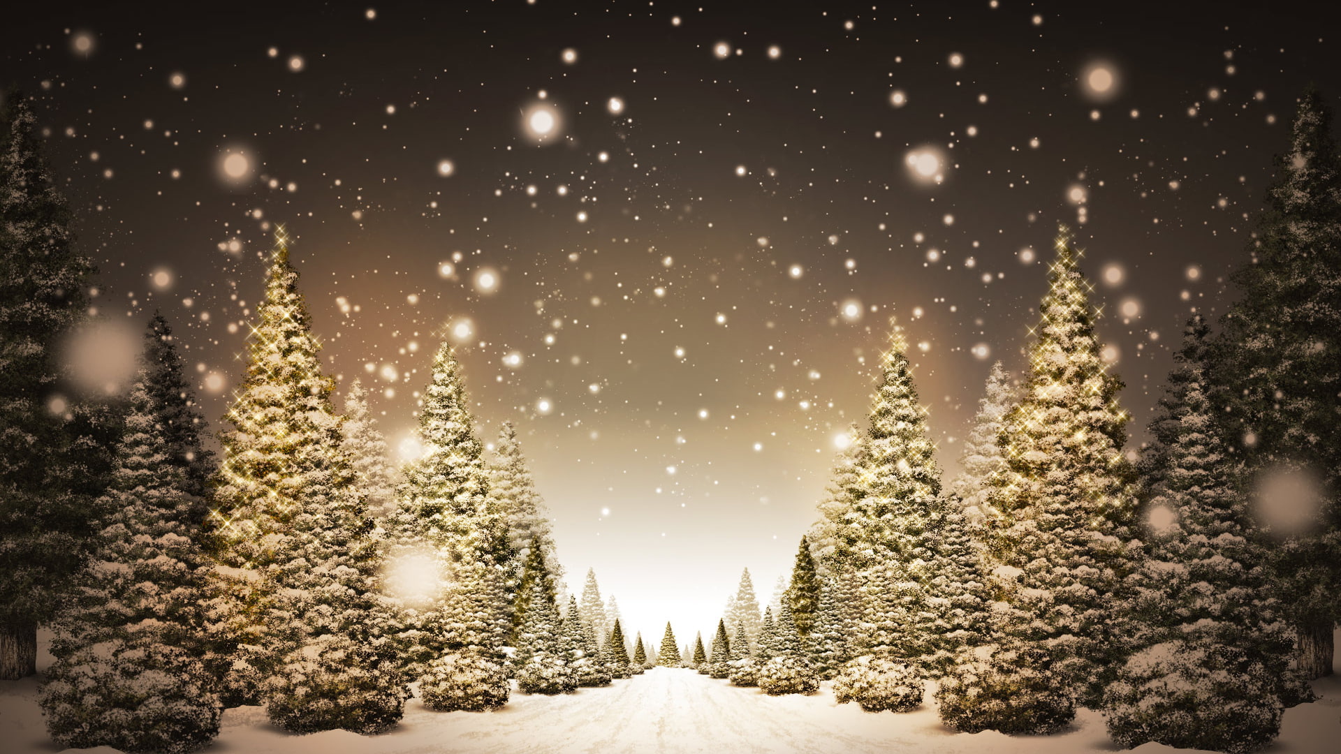 christmastree, snow, hd, pine, christmas, 1080P, trees, HD Wallpaper