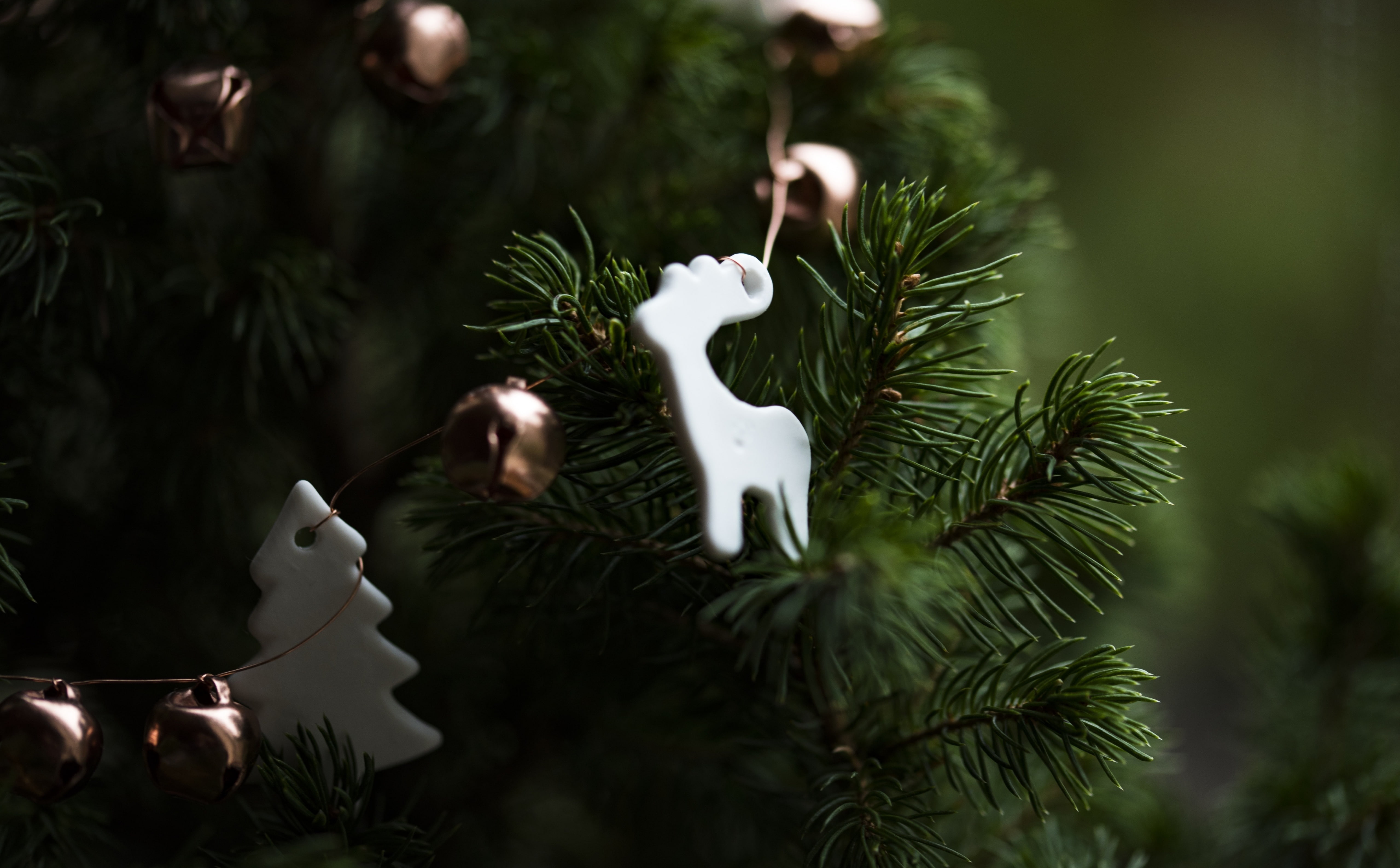 Cute, christmas tree, Season, day, Holidays, outdoors, representation, pine tree, nature, close-up, animal, Decoration, celebration, mammal, coniferous tree, HD Wallpaper