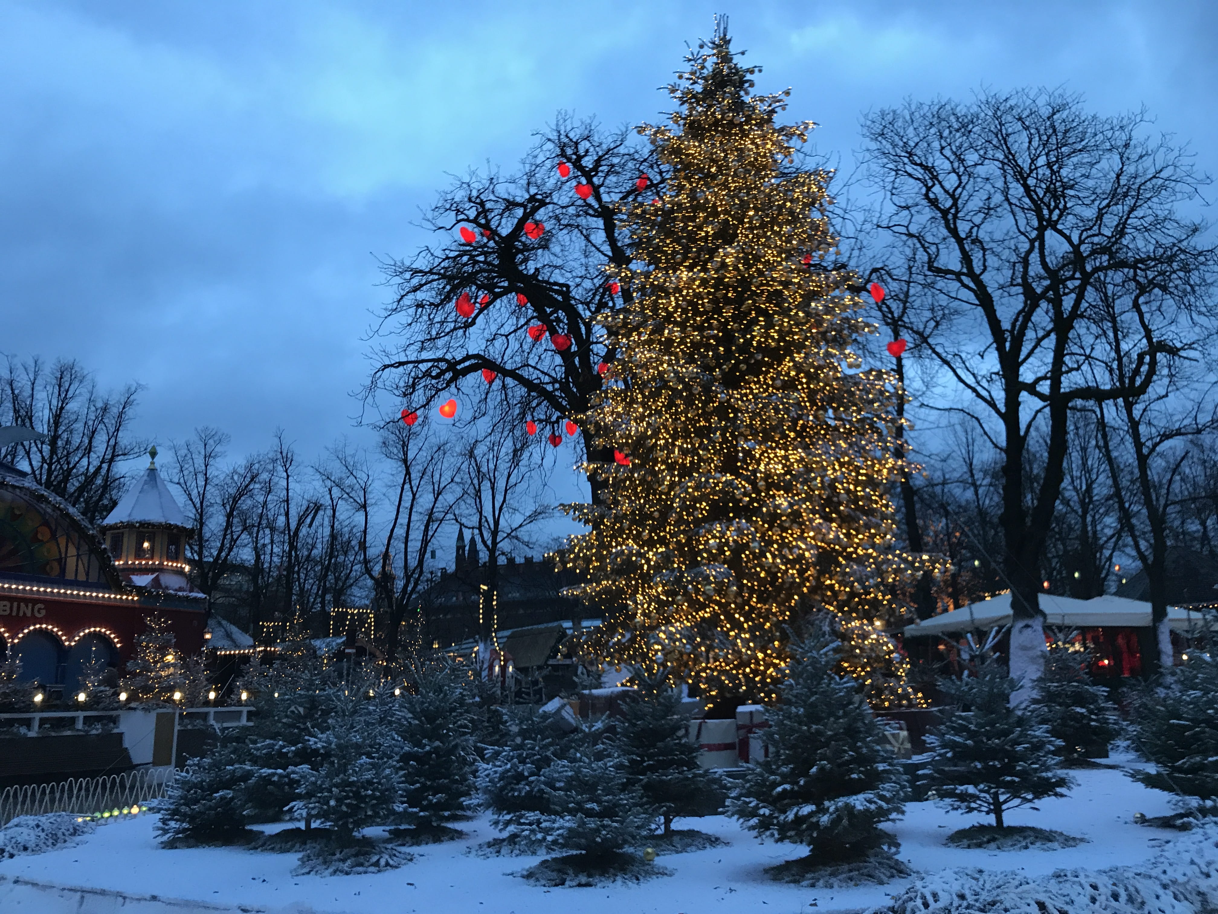 light, built structure, denmark, sky, christmastree, xmas, nature, christmas tree, copenhagen, building exterior, christmas ornament, bare tree, københavn, HD Wallpaper