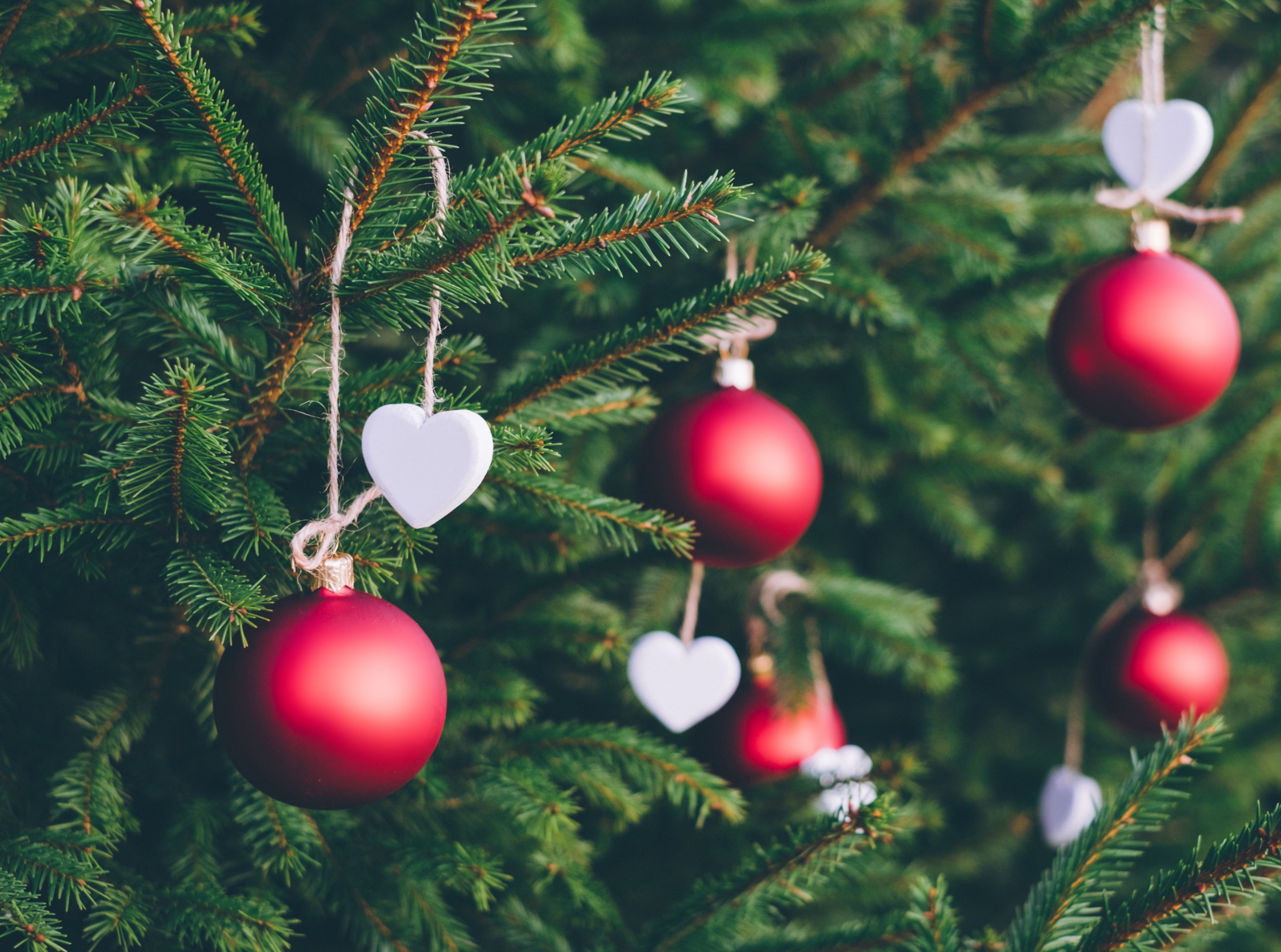 christmas decoration, Holidays, Hearts, plant, christmas ornament, Holiday, holiday - event, merry, 4K, christmasballs, christmastree, branch, Xmas, celebration, HD Wallpaper