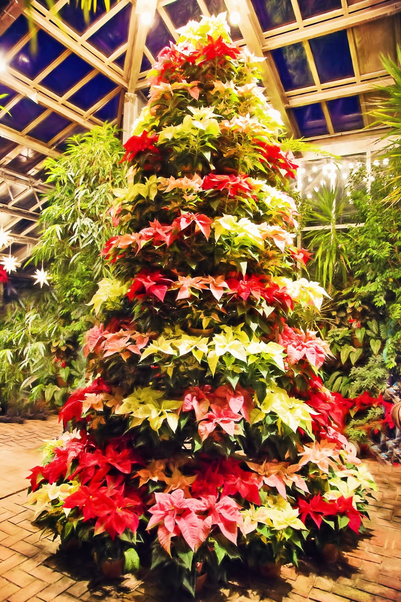 plant nursery, christmas ornament, red, day, green, nature, christmas decoration, christmas tree, growth, botany, flower pot, green color, flower, decoration, Phone HD Wallpaper